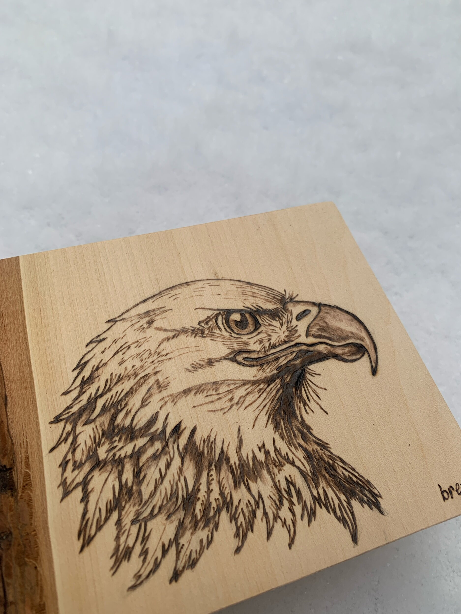 955DB293-72F7-4804-8F20-3B25466691E5