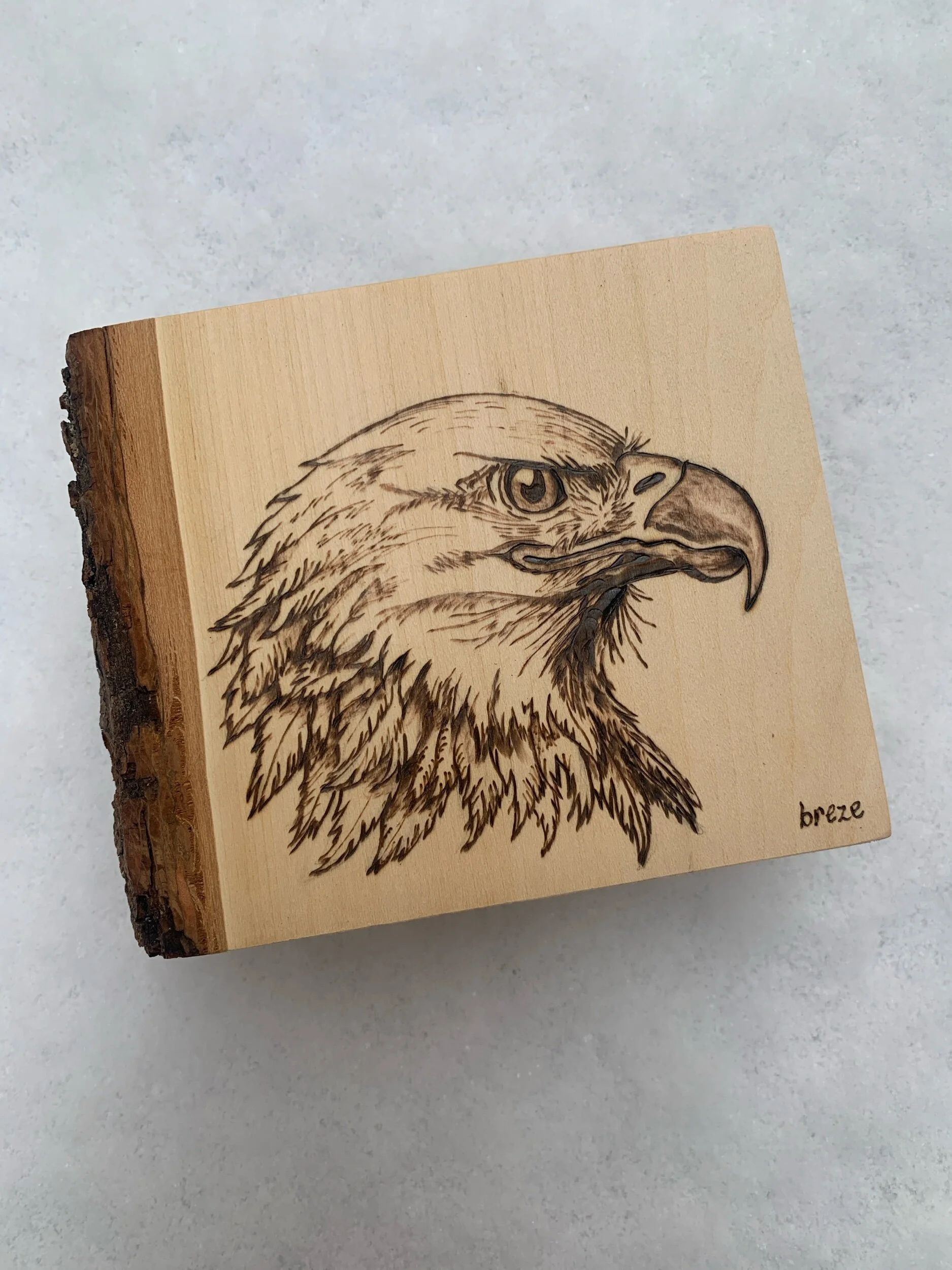 43FA39F3-4B10-4C9F-AA4C-21117BD7A703