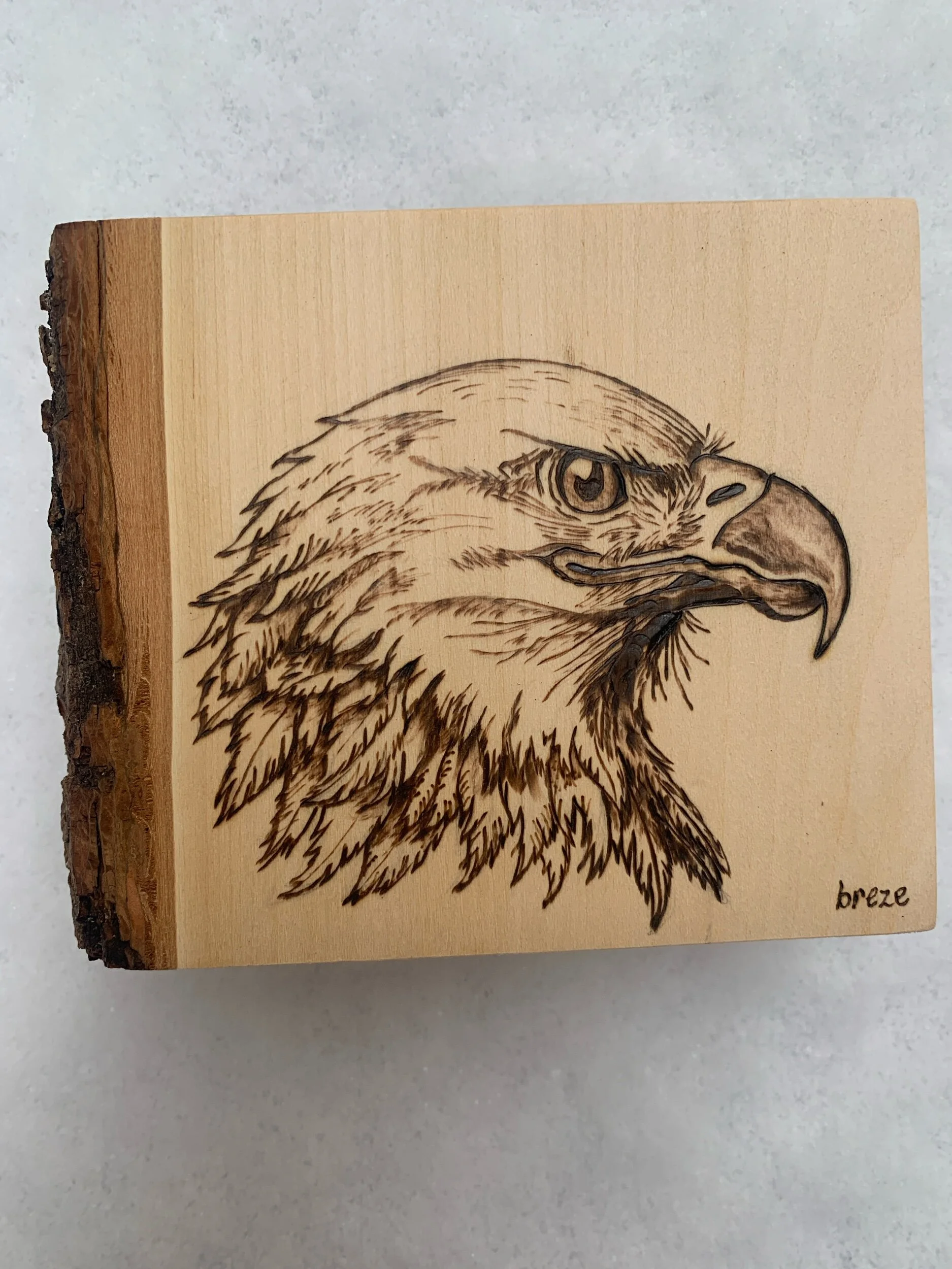 40645A6F-96A4-4E7E-8FCB-298454896503