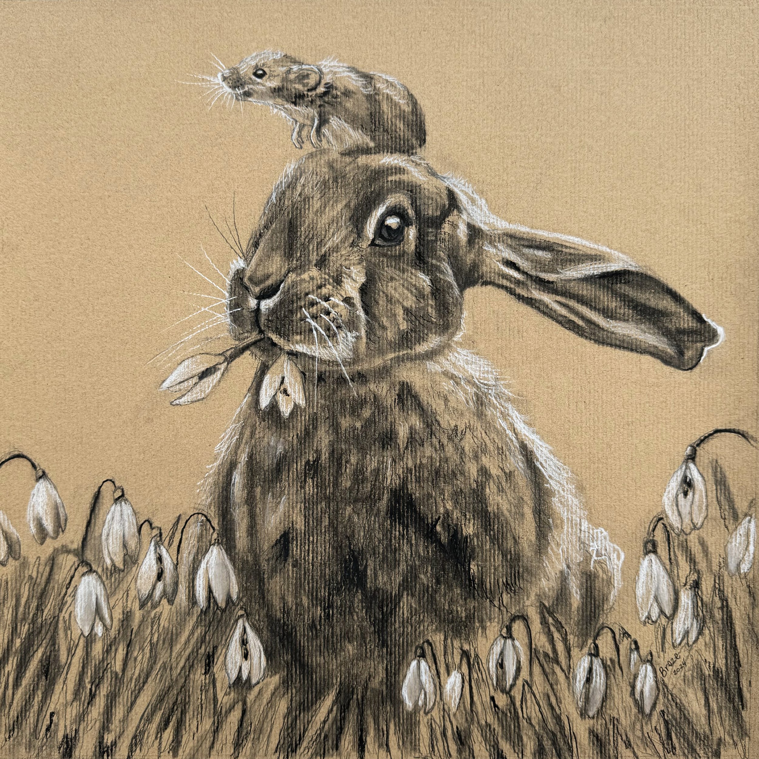 Bunny and Mouse.jpg