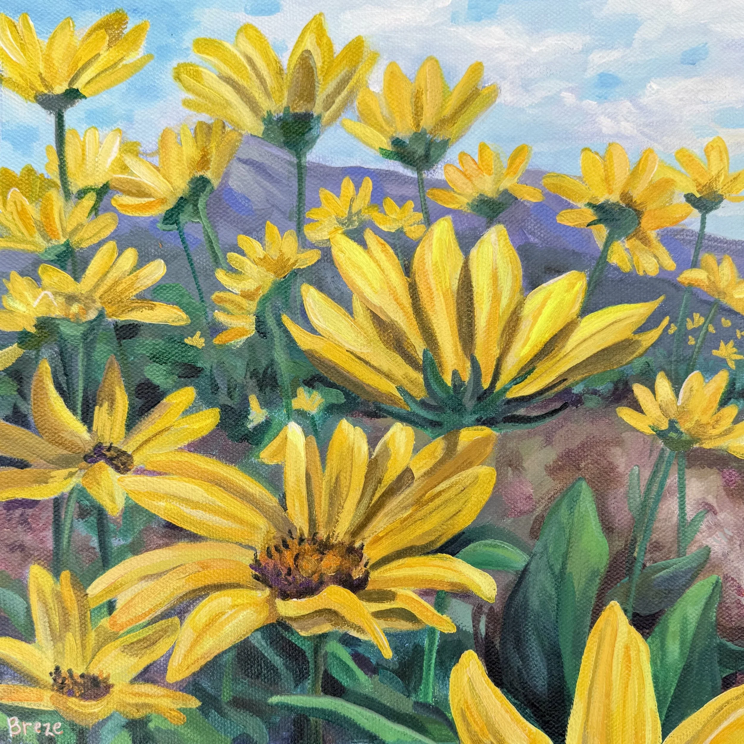 Arrowleaf Balsamroot.jpg