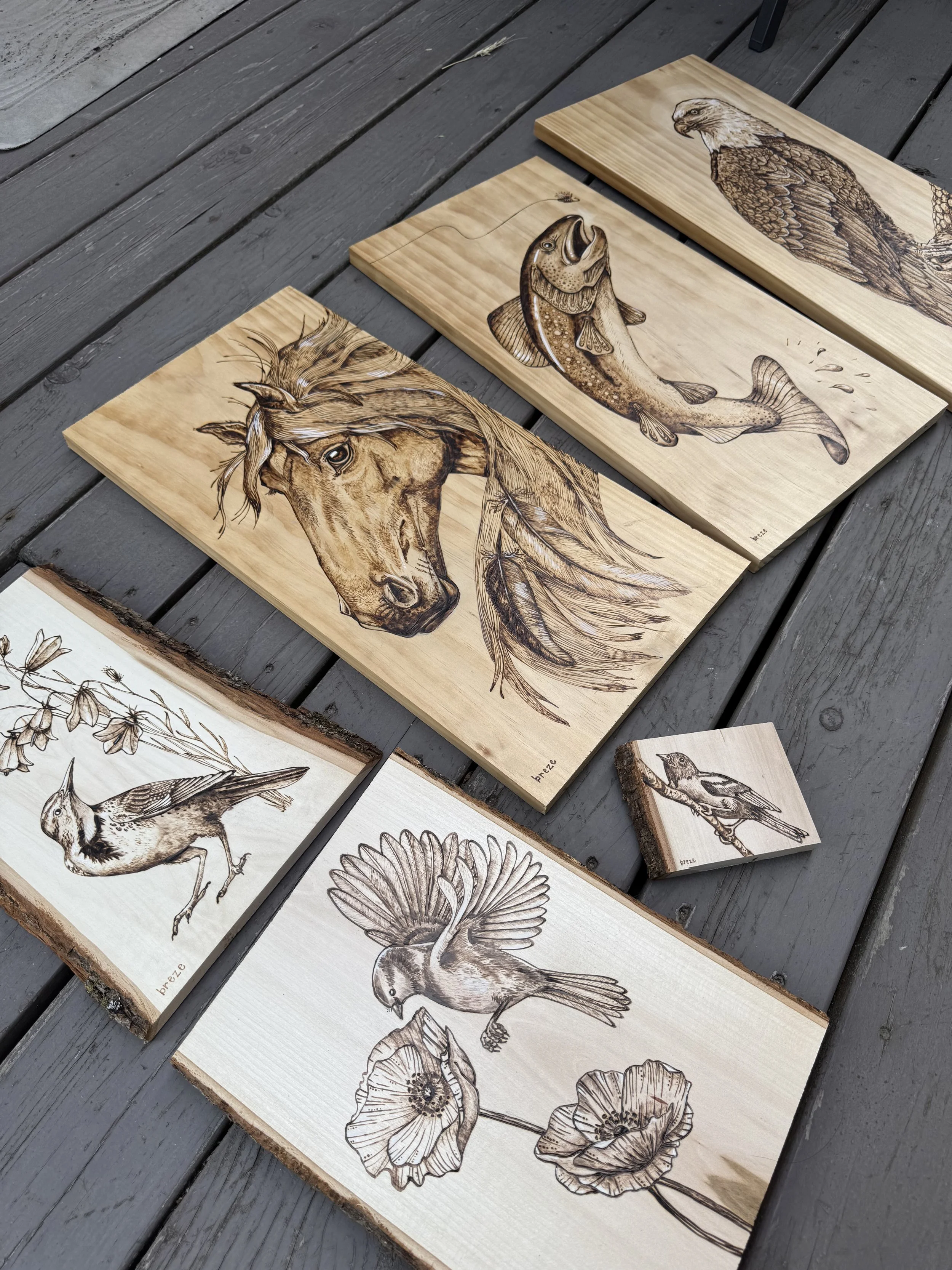 Fall 2025 Large Burnings Plus.jpg