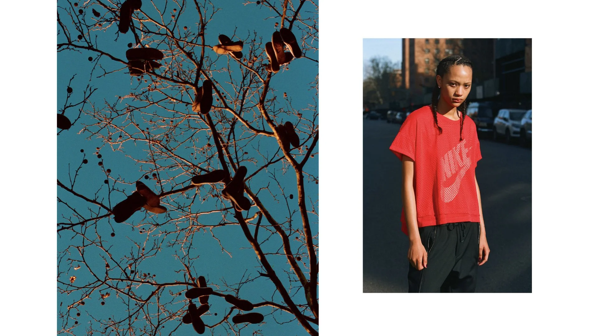 NEWEST (REDUCED SIZE) !!!! MARCH30.072.jpeg