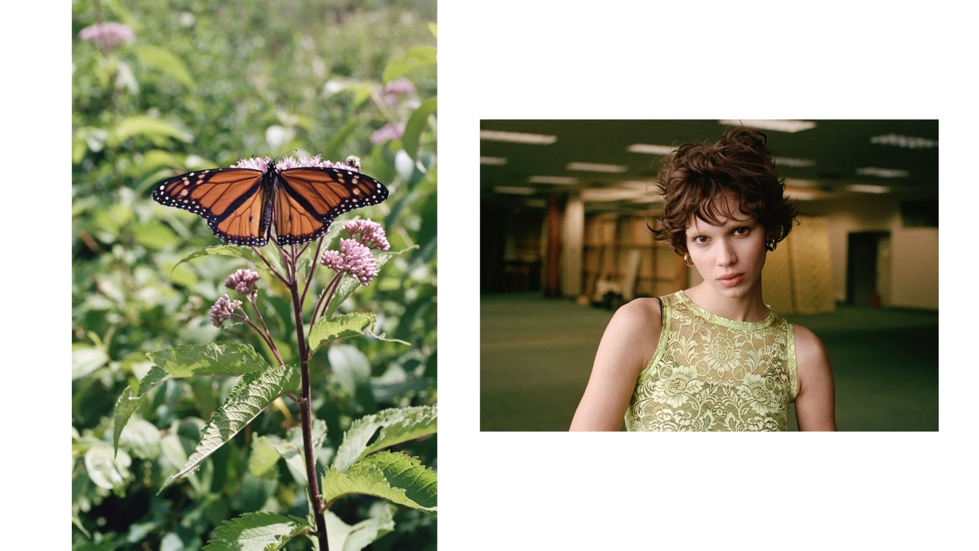 NEWEST (REDUCED SIZE) !!!! MARCH30.234.jpeg