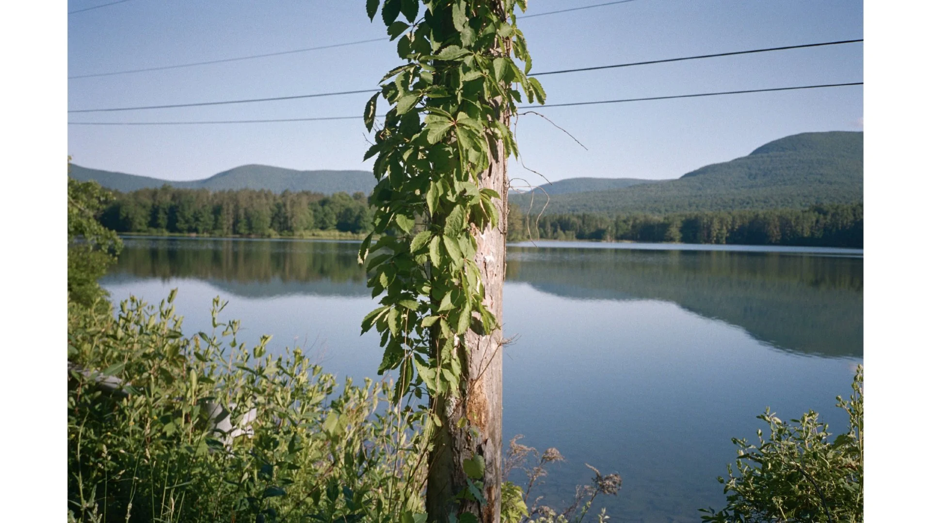 NEWEST (REDUCED SIZE) !!!! MARCH30.233.jpeg