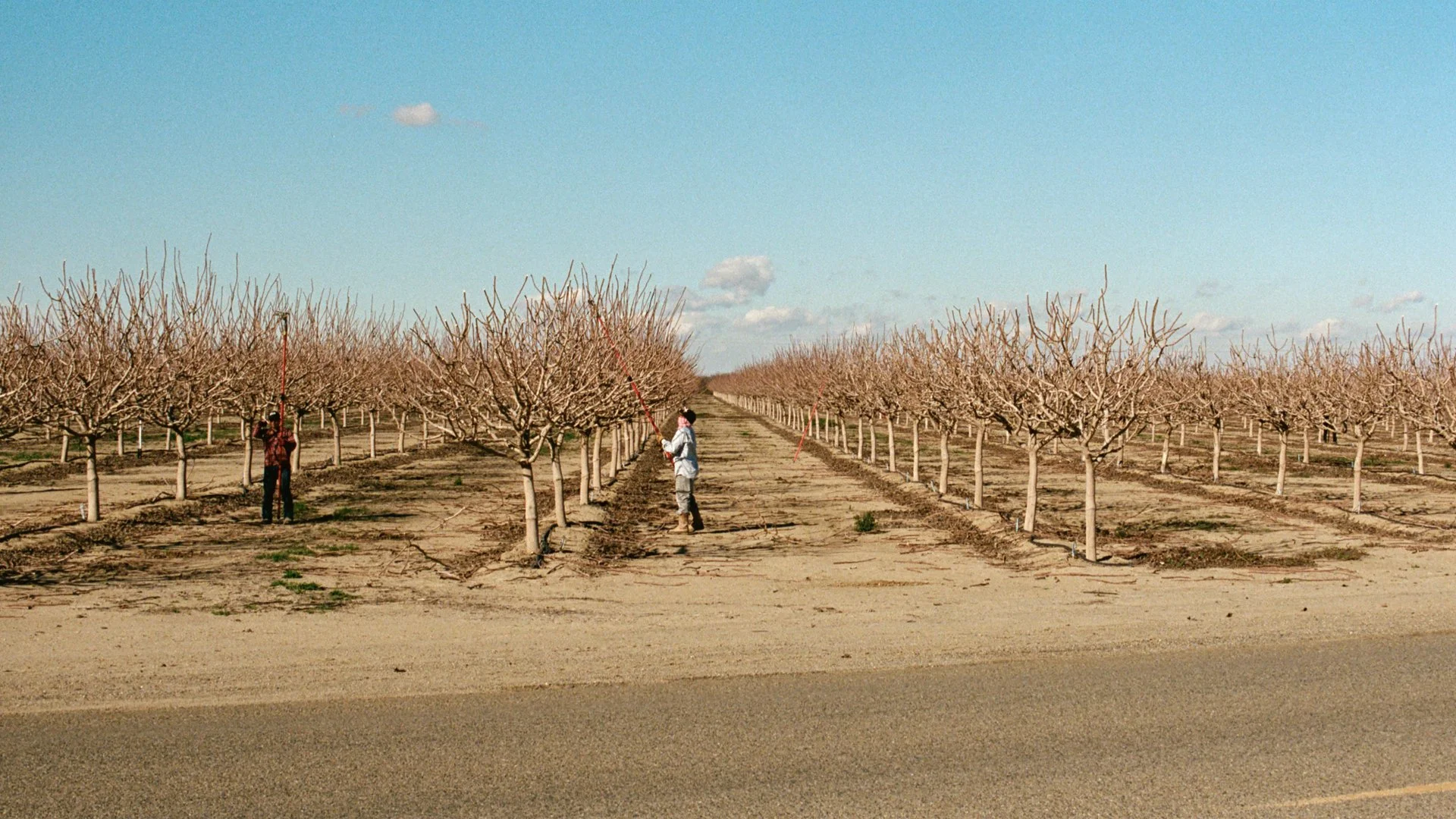 NEWEST (REDUCED SIZE) !!!! MARCH30.238.jpeg