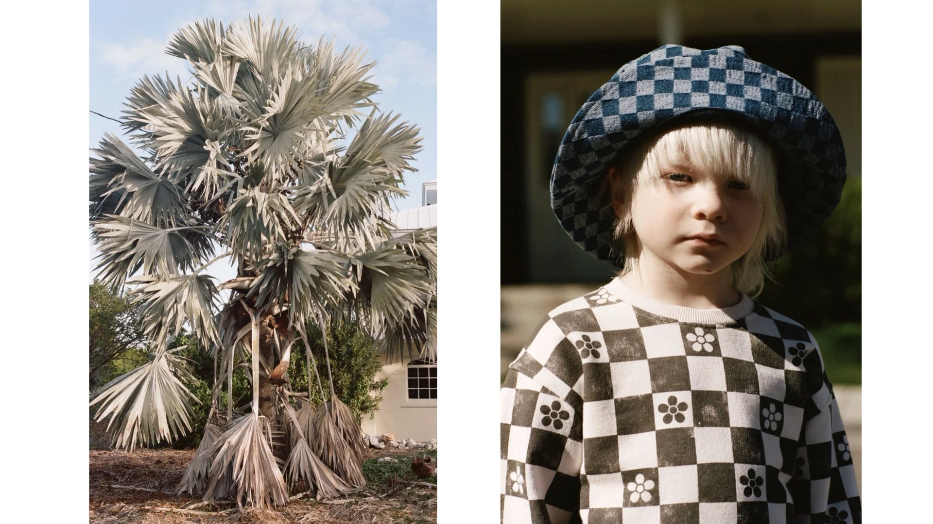 NEWEST (REDUCED SIZE) !!!! MARCH30.298.jpeg