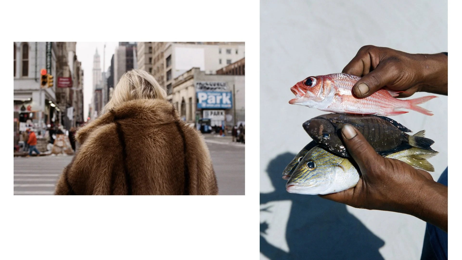 NEWEST (REDUCED SIZE) !!!! MARCH30.299.jpeg