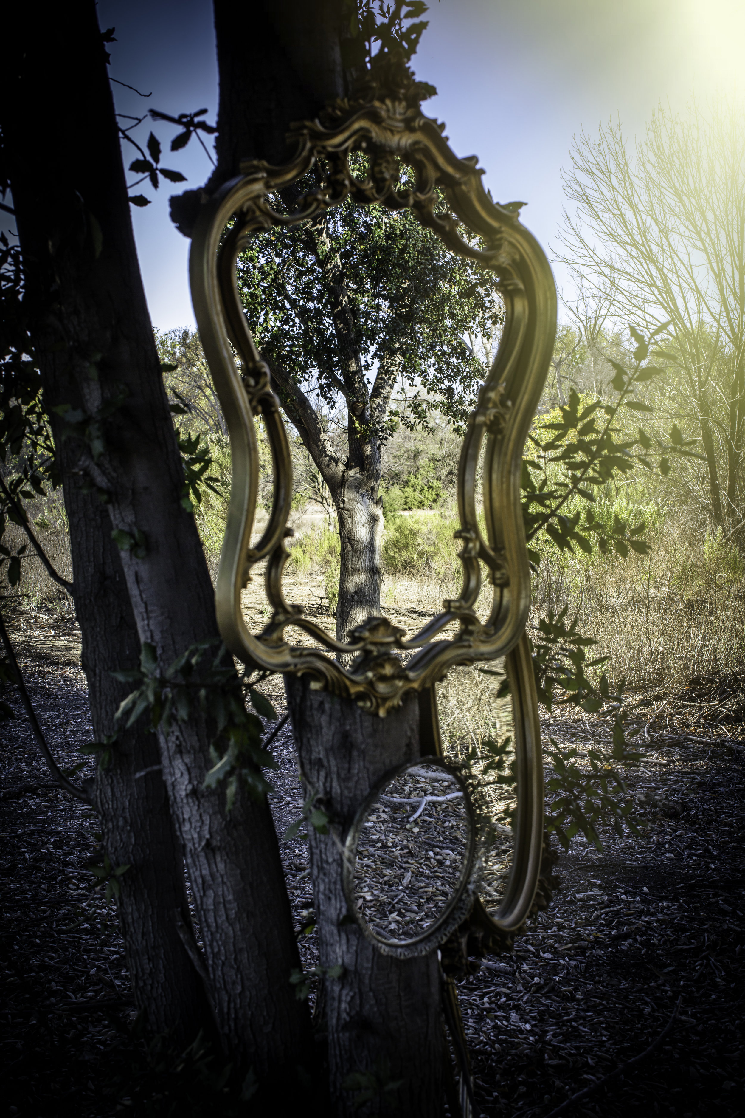Mirrors (1 of 1).jpg