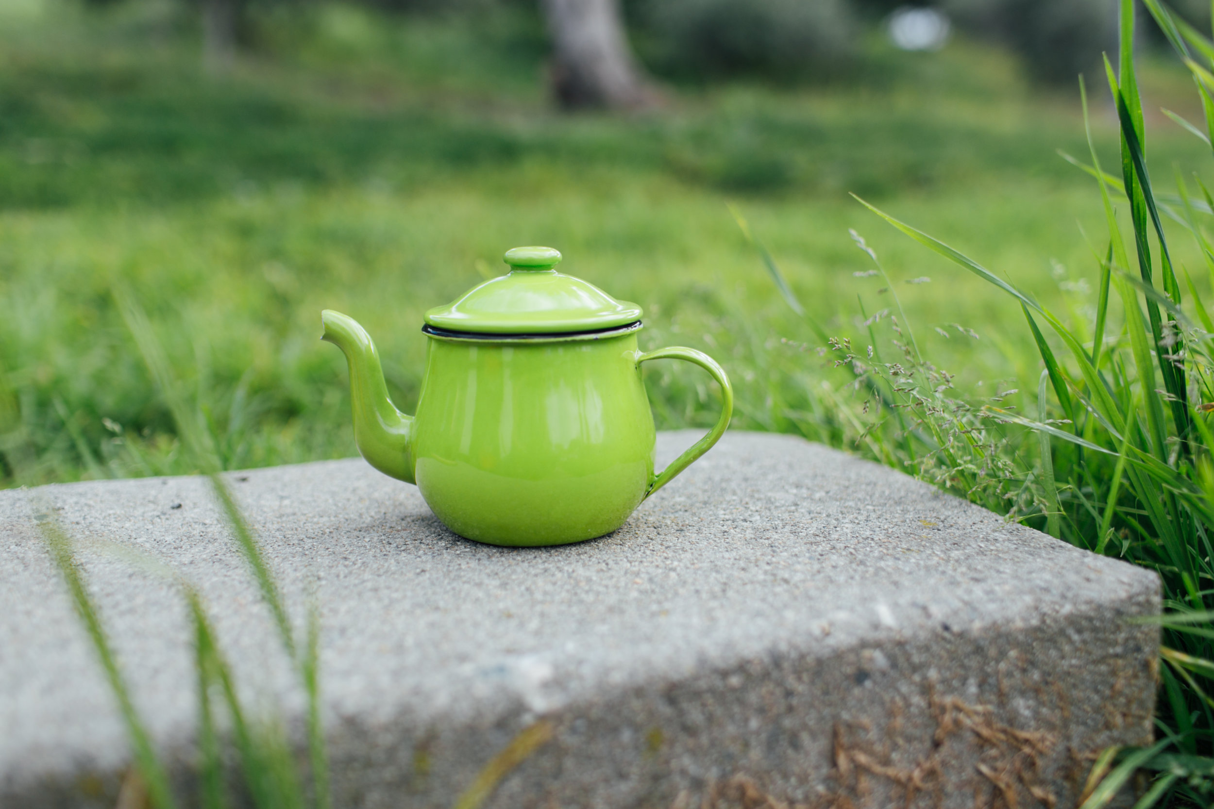 Anca Greenery Enamel Tea Pot