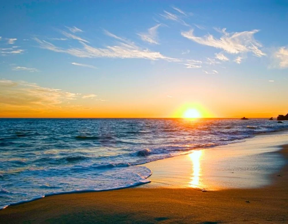 Provenance Vintage Rentals Malibu Party Rentals Malibu Specialty Rentals Near Me.jpg