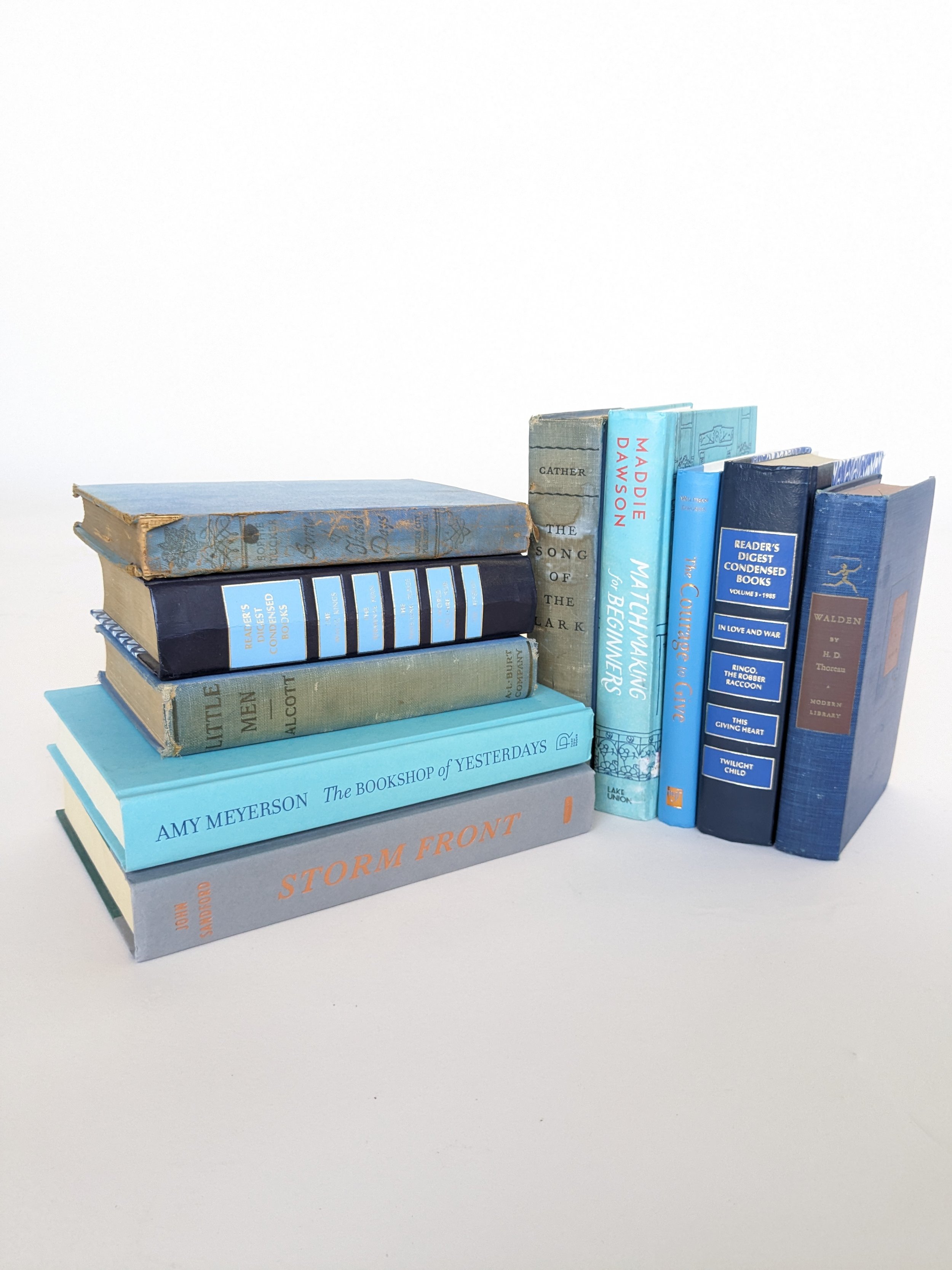 Kathleen Blue Decorative Books, Set of Five