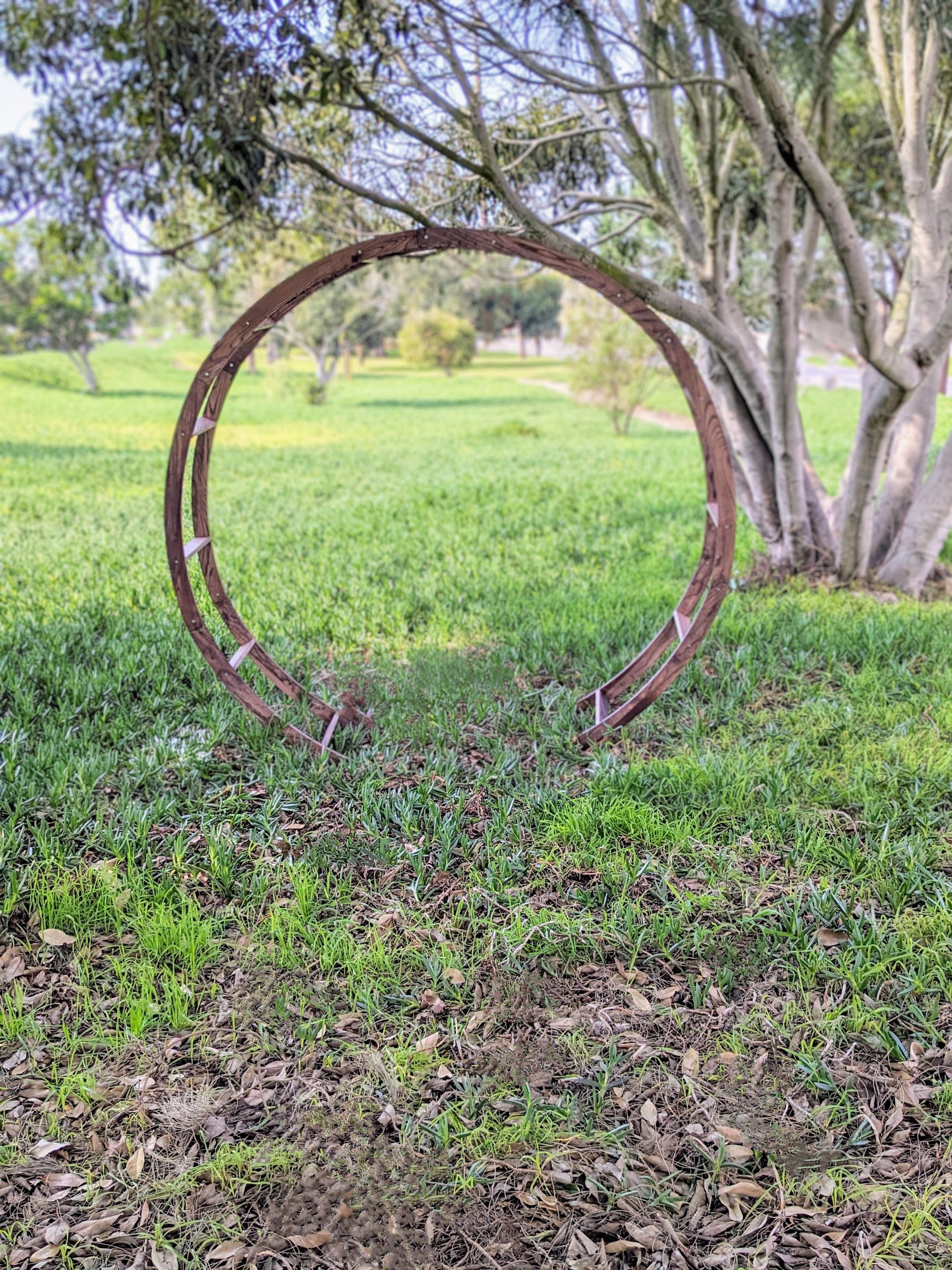 Ilana Rustic Double Ring Wood Wedding Arch