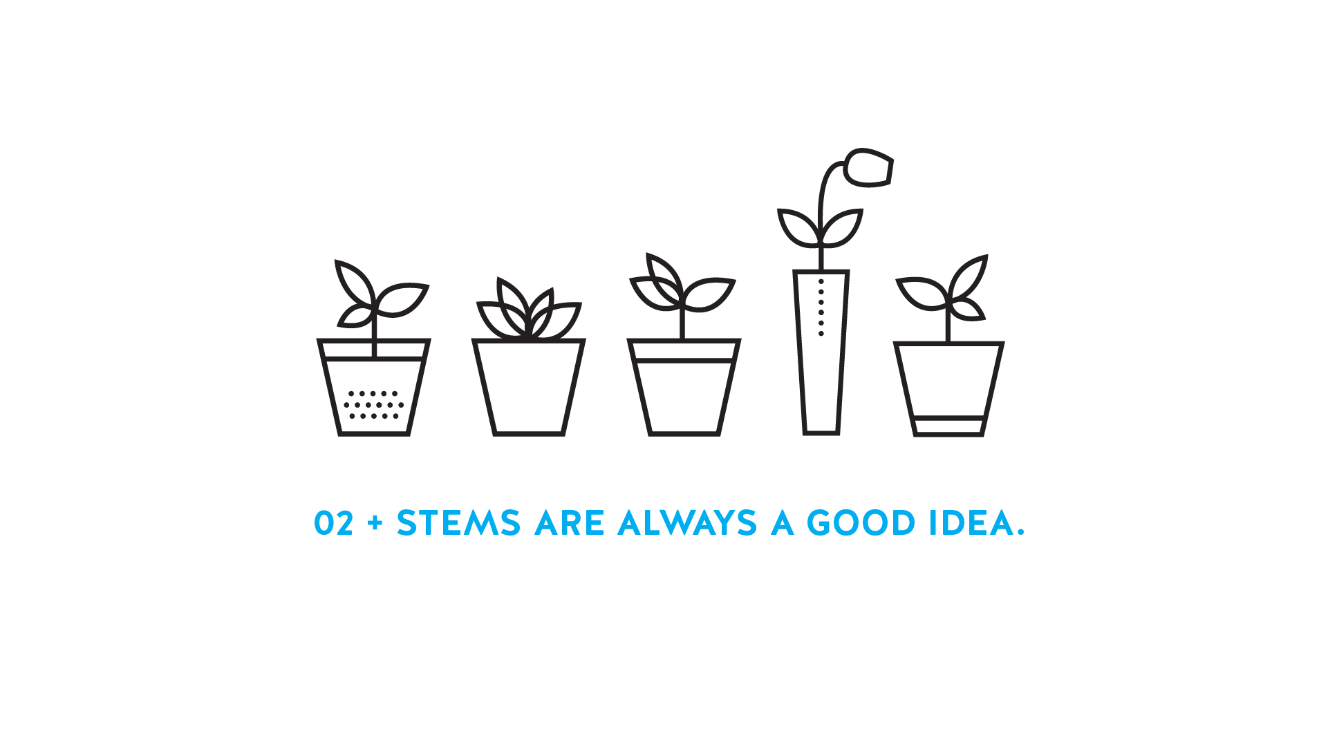 skillshare-slides-1920x1080-FINAL_O2 and stems are always a good idea.jpg
