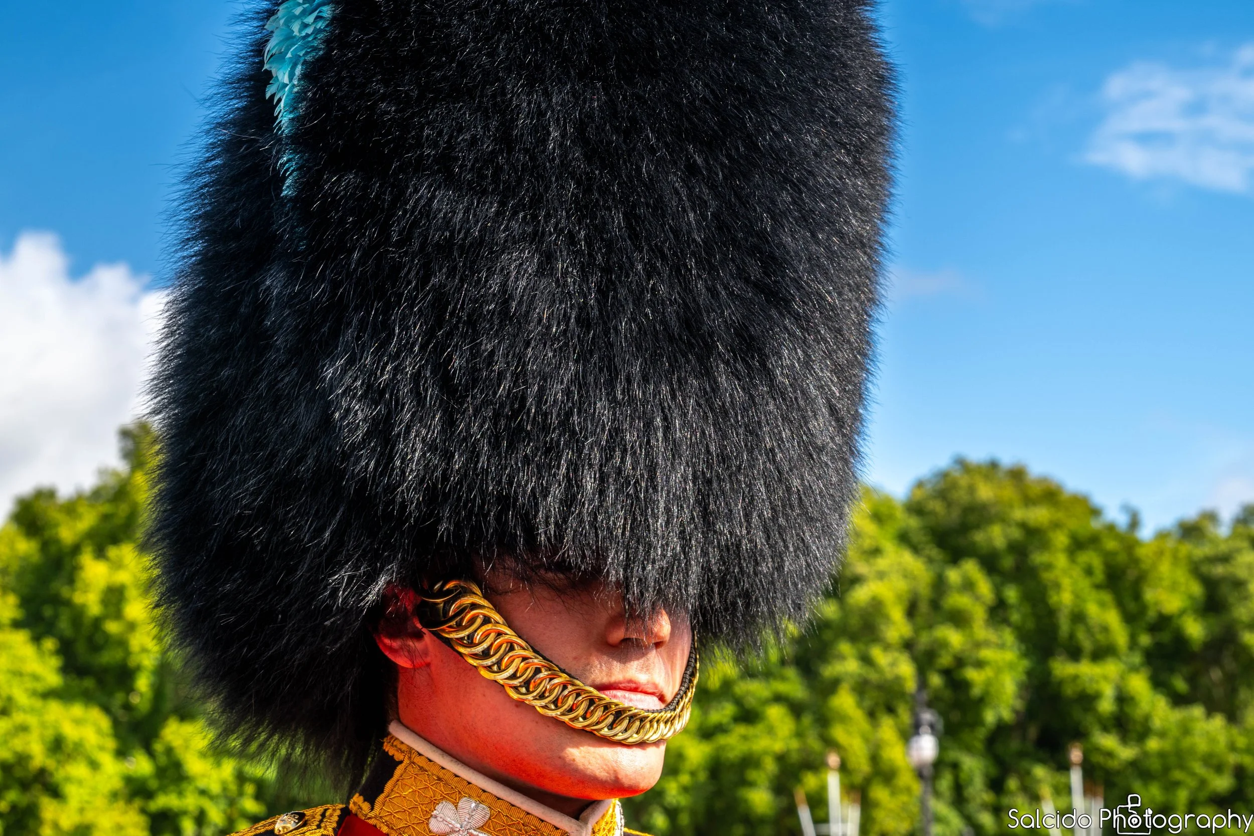King’s Guard