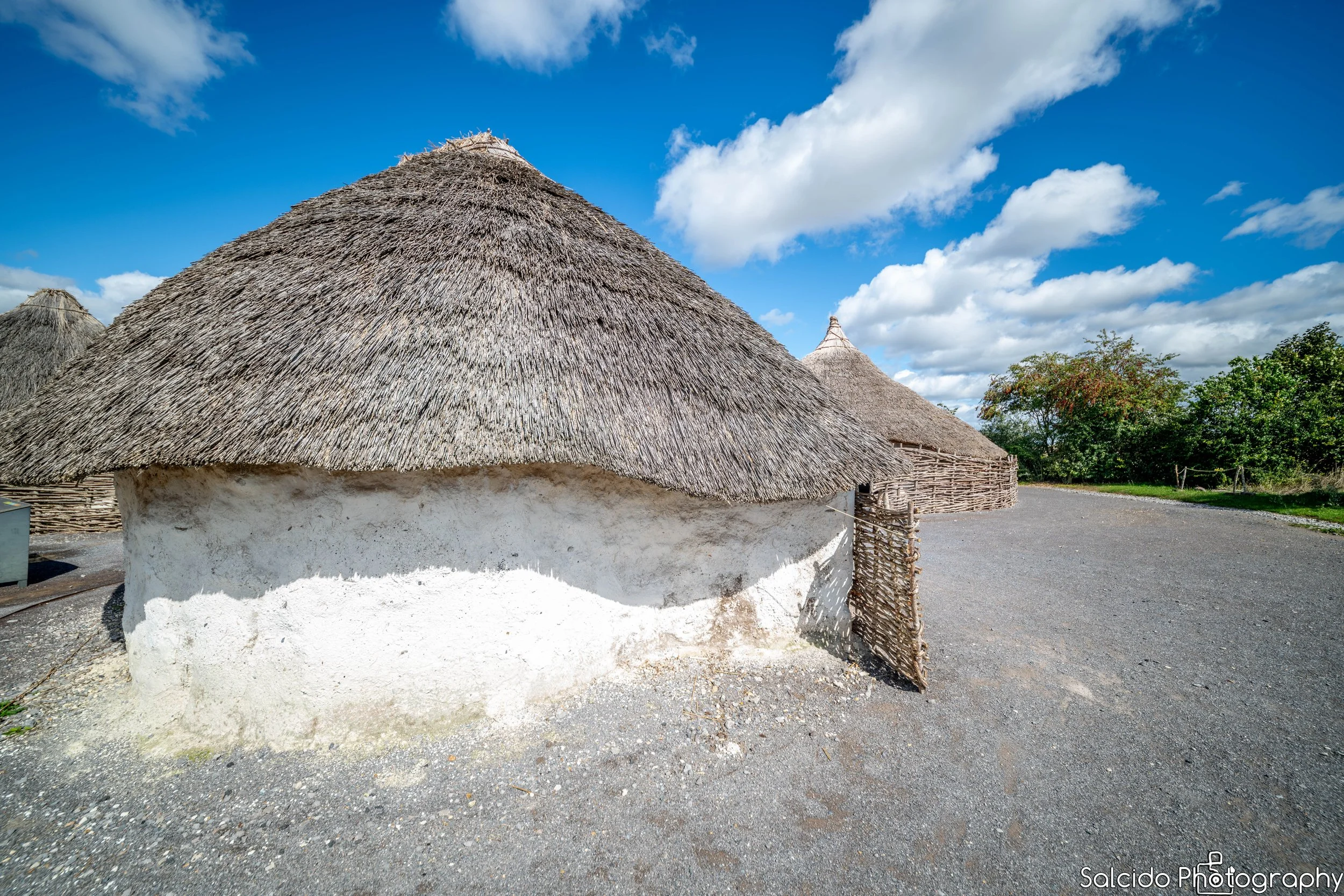 Neolithic houses at Stonehenge