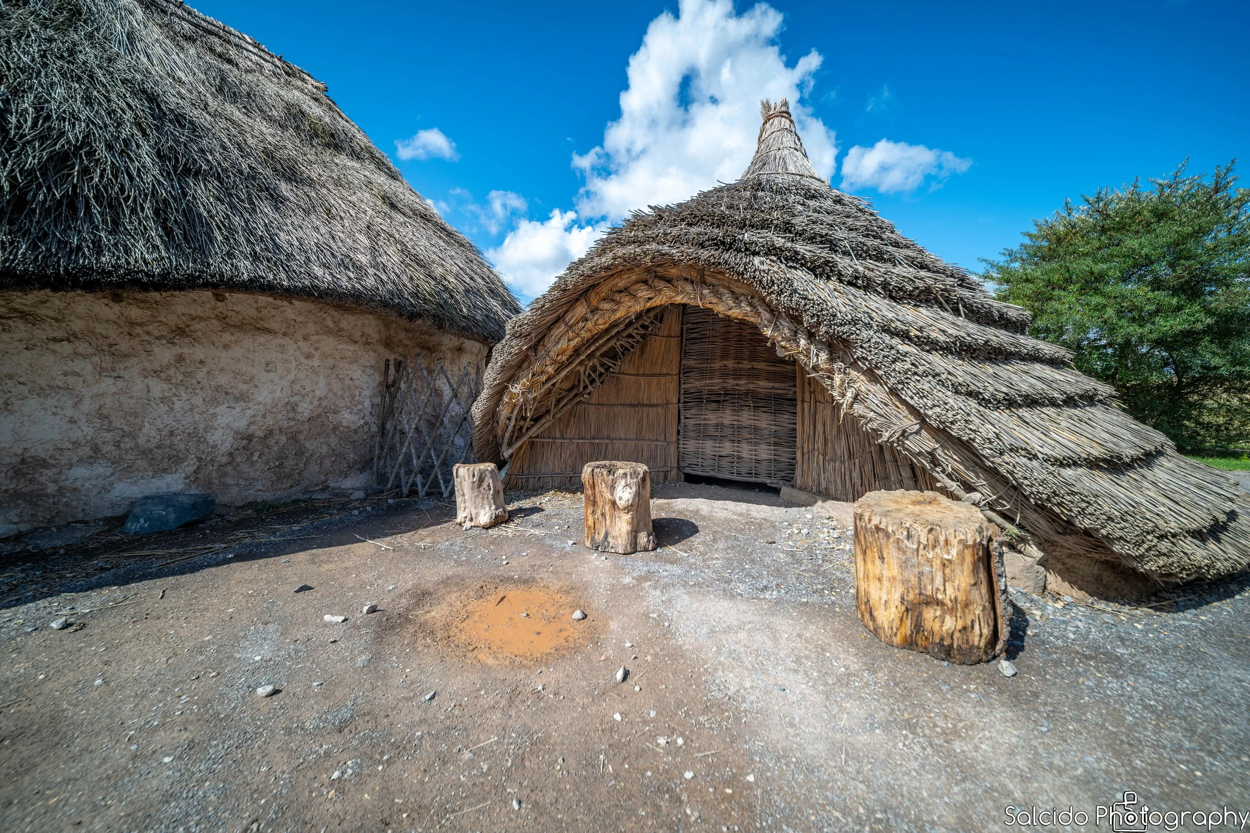 Neolithic houses at Stonehenge