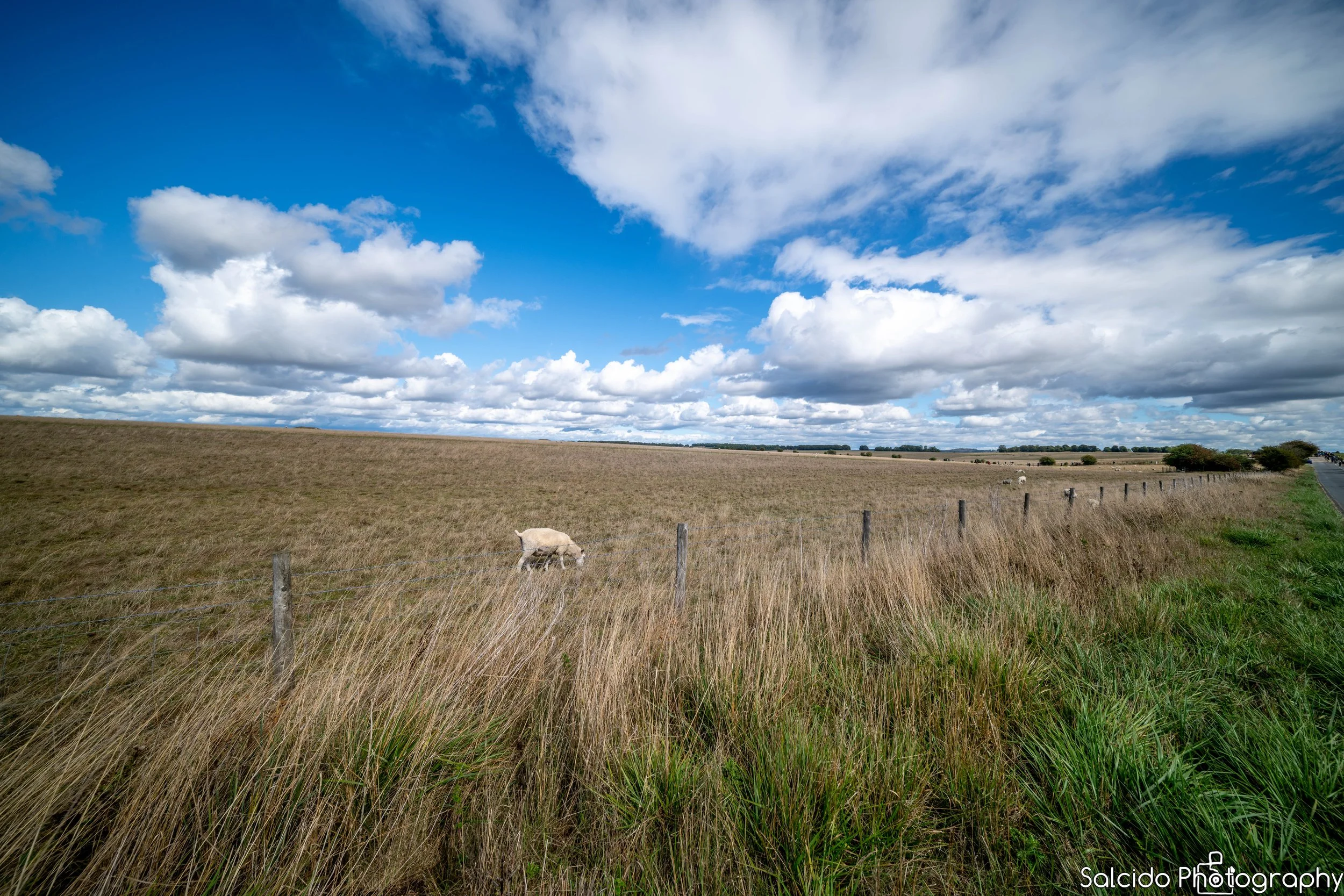The Walk to Stonehenge