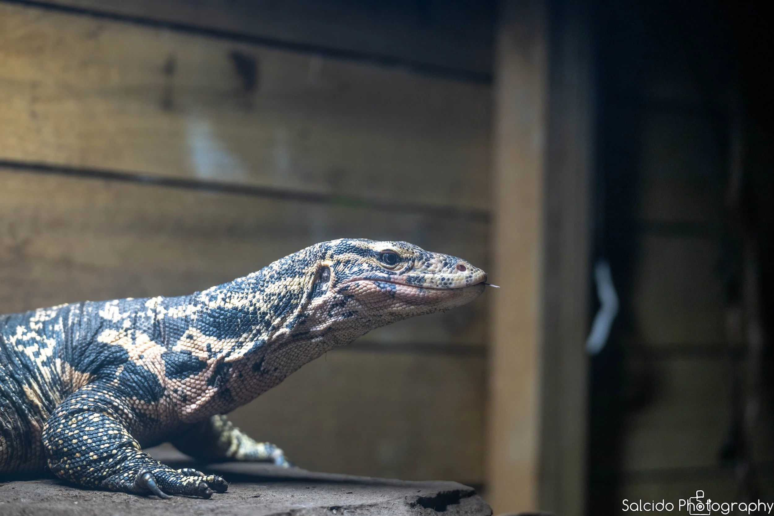 Plantasia Zoo