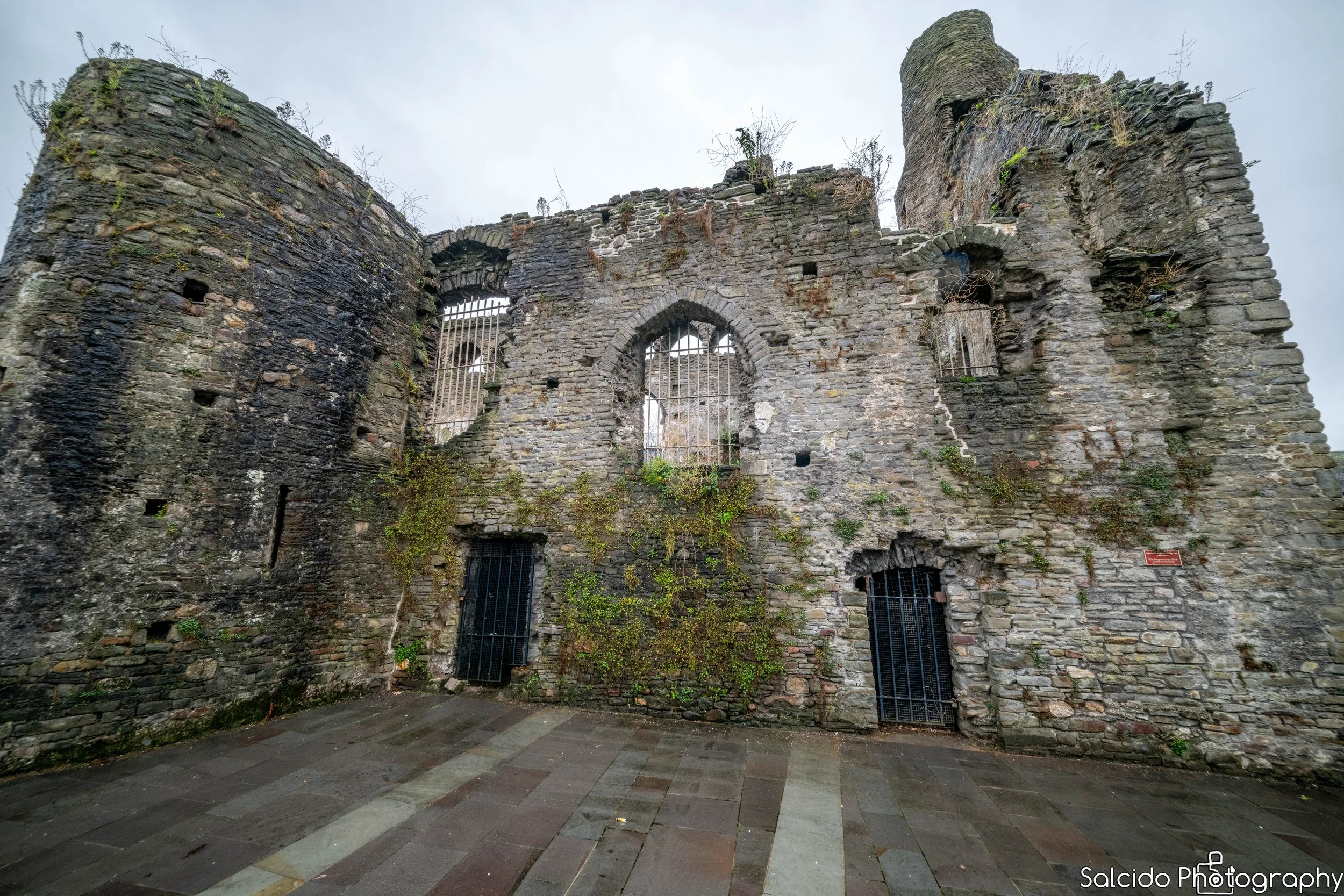 Swansea Castle