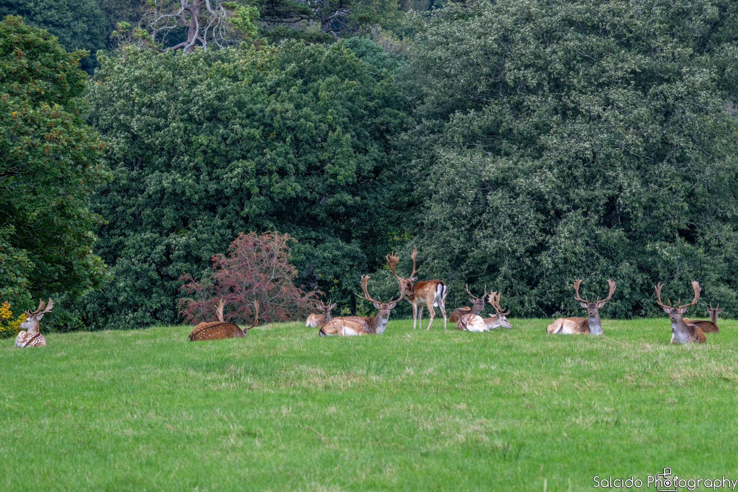 Margam Country Park