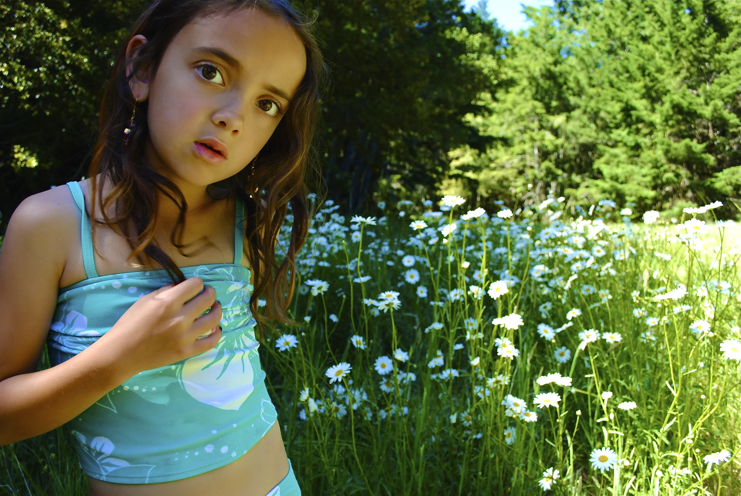 "Summer Field of Flowers"