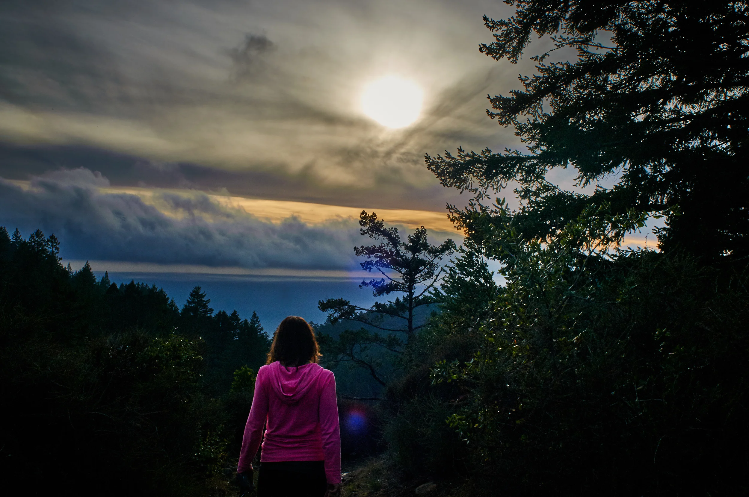 "Into The Wild"