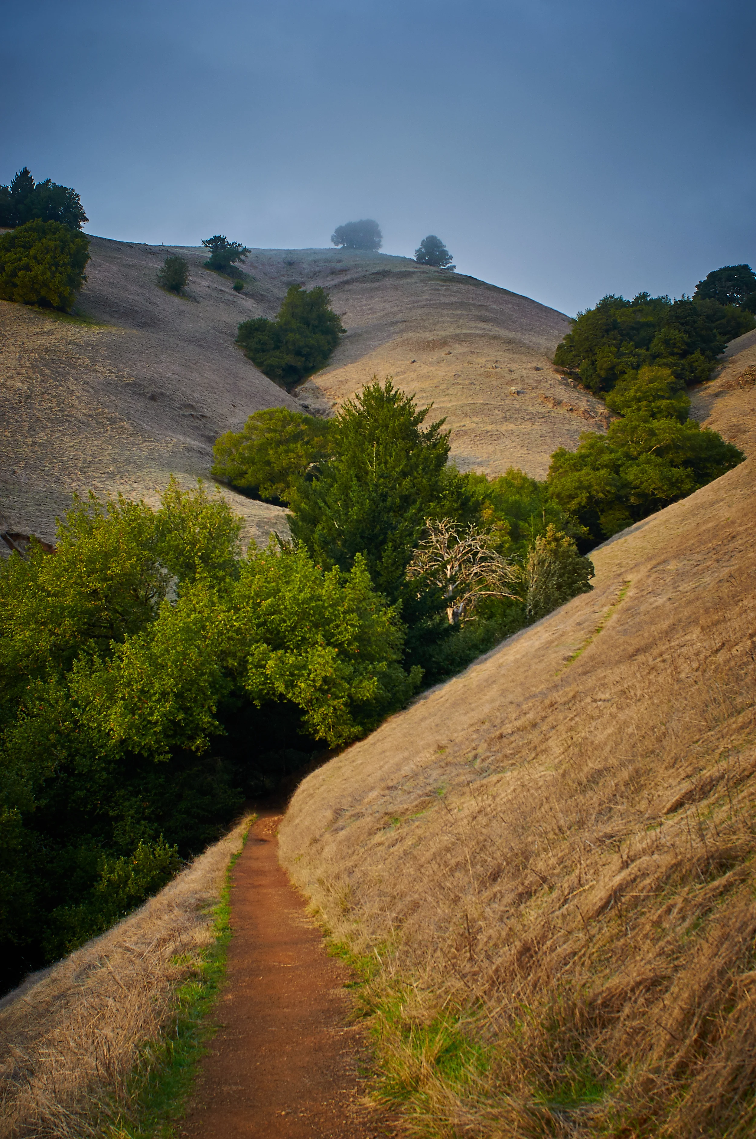 "Mysterious Trail"