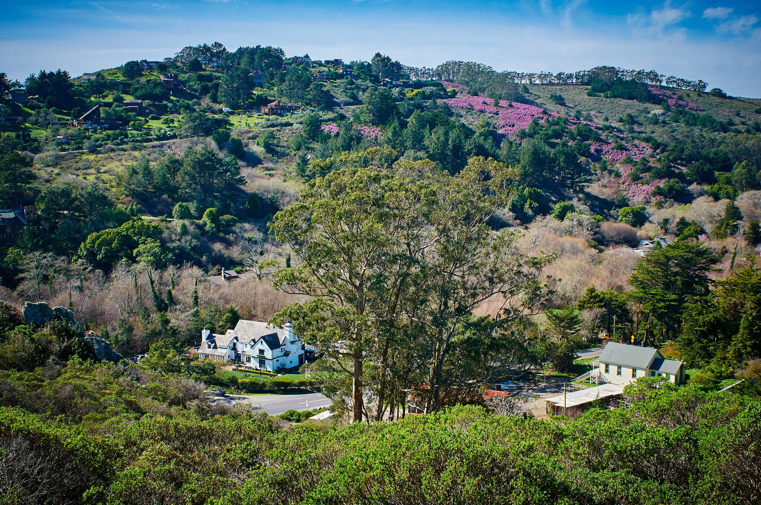 "Pelican Inn"