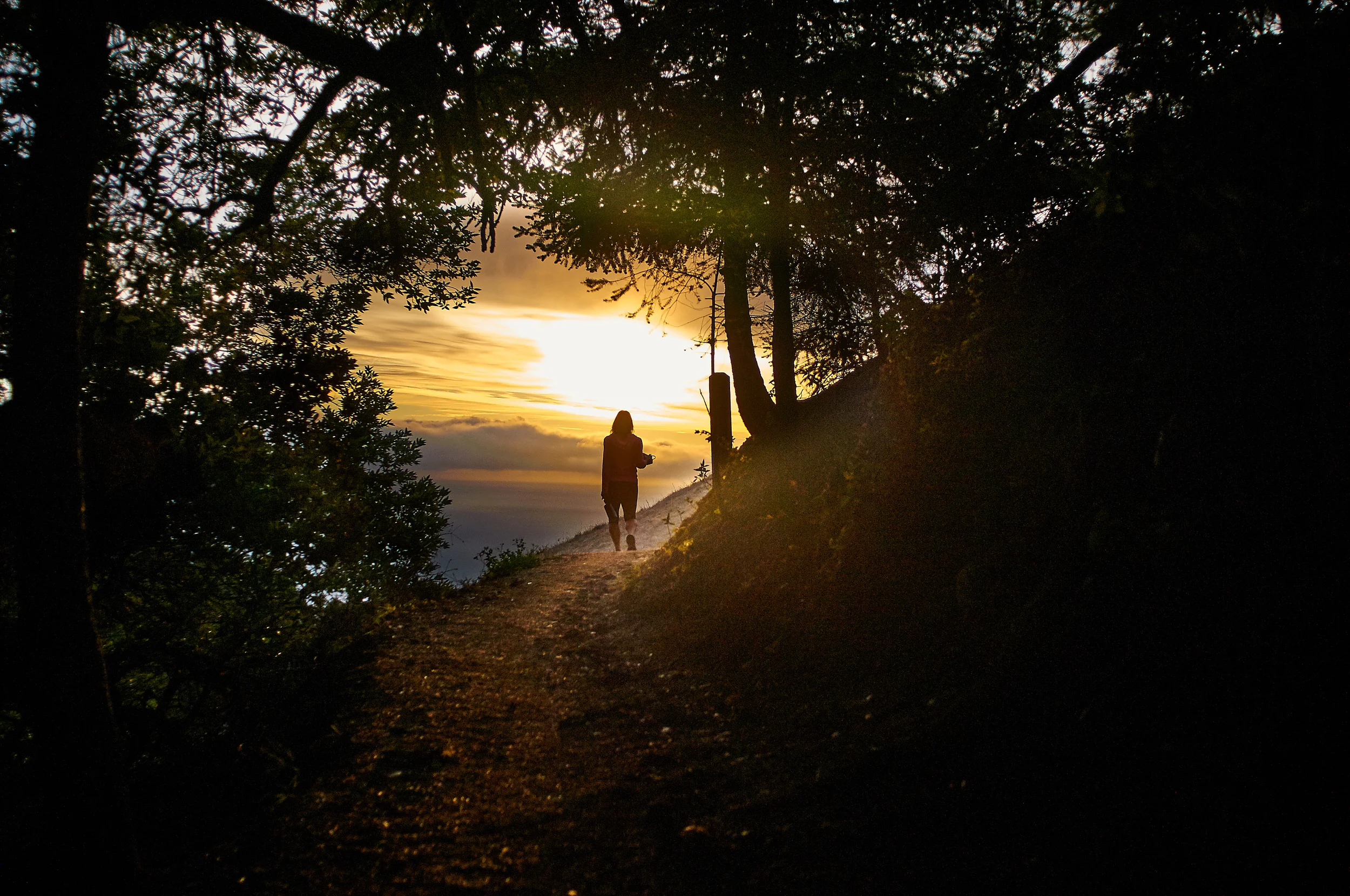 Matt Davis Trail Mt.Tamalpais, California D300 28mm Nikon lens