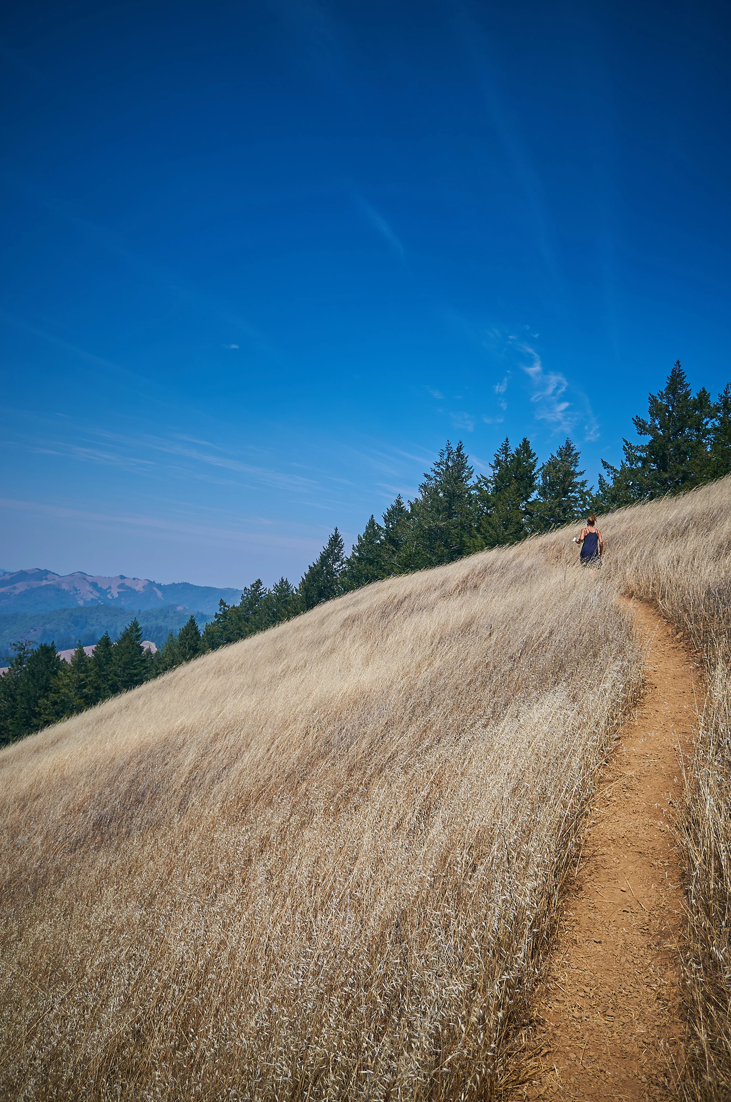 "Trail Through the Hills"