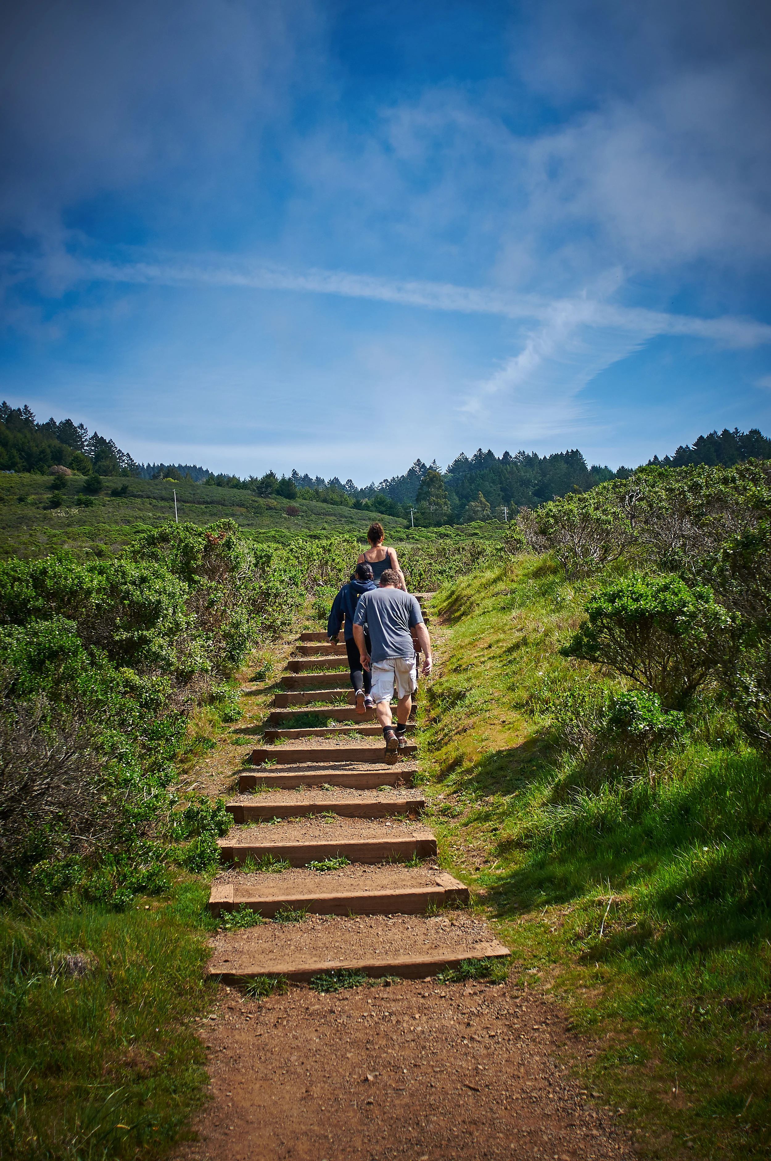 "Dipsea Trail"