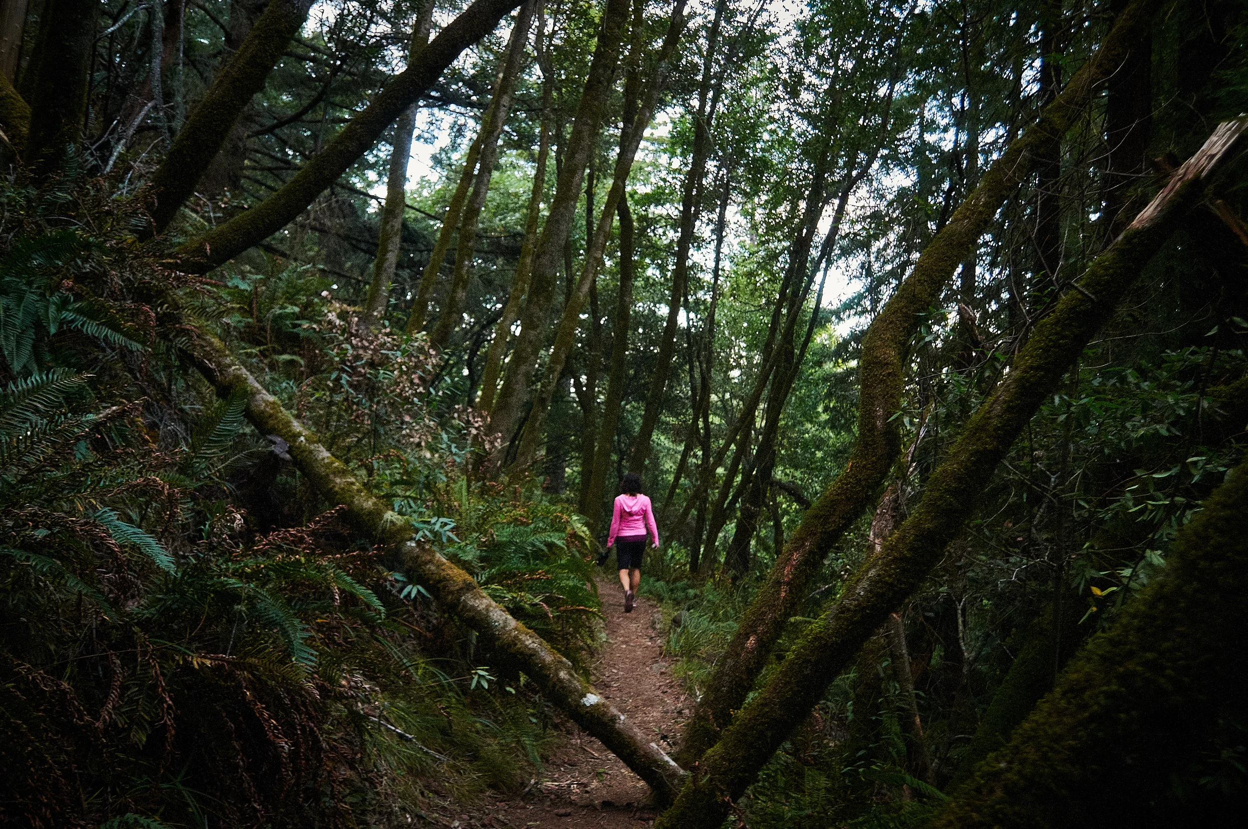 "Troop 88 Trail"