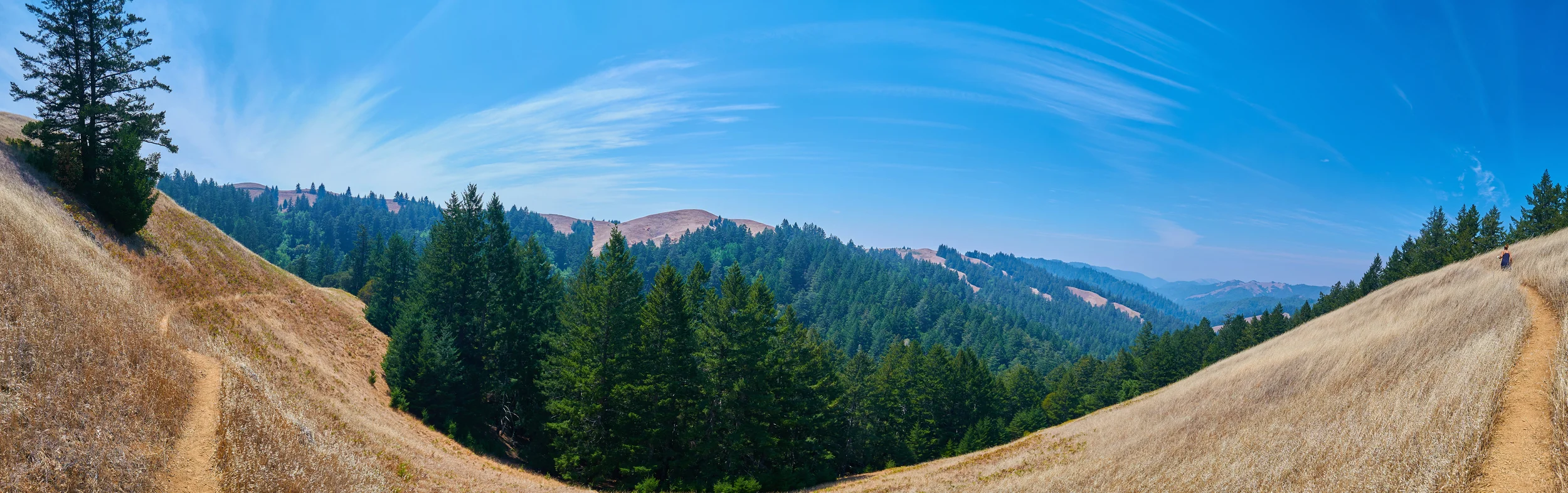"Mountain Trail Pan"