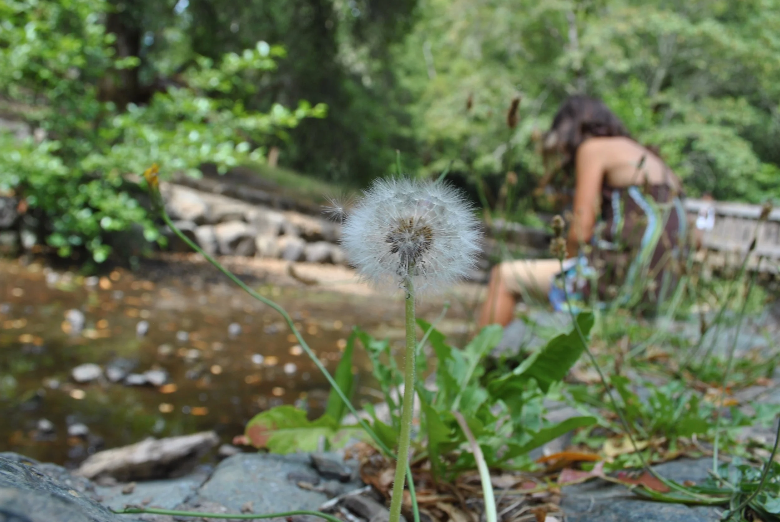 "By the Creek