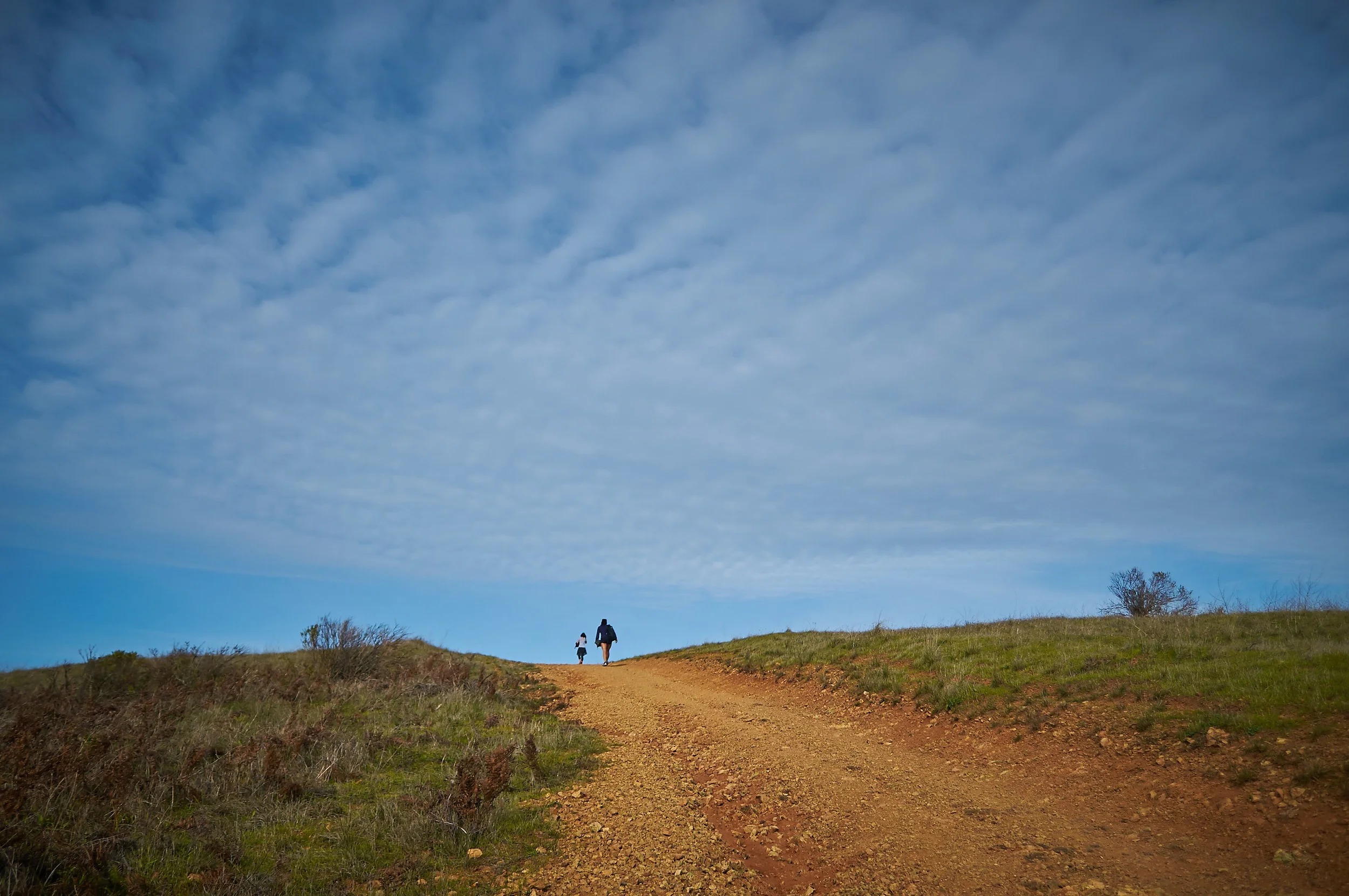 "Top of the Hill"