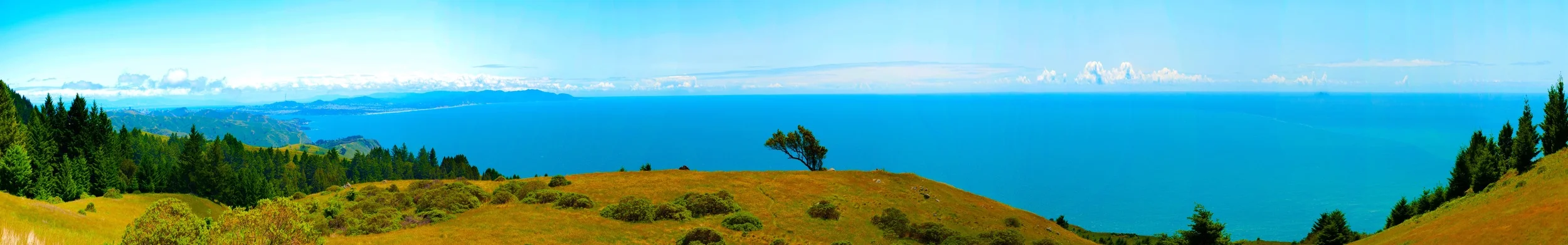 "Matt Davis View"