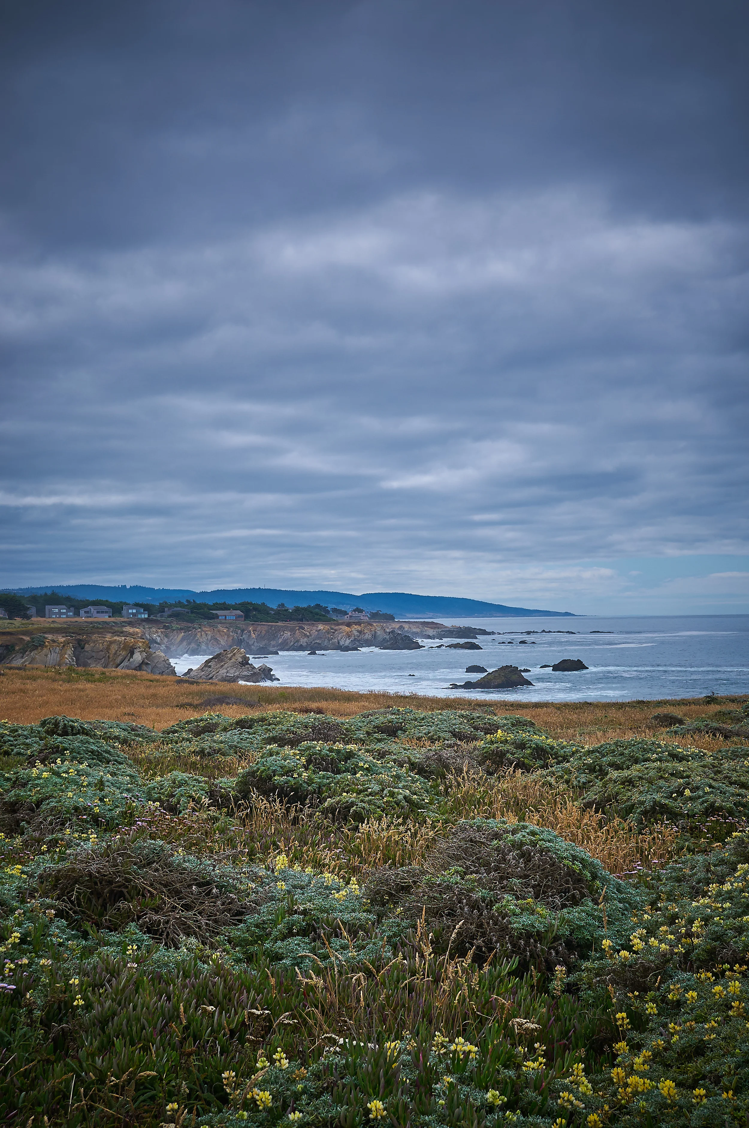 "Coastal View"
