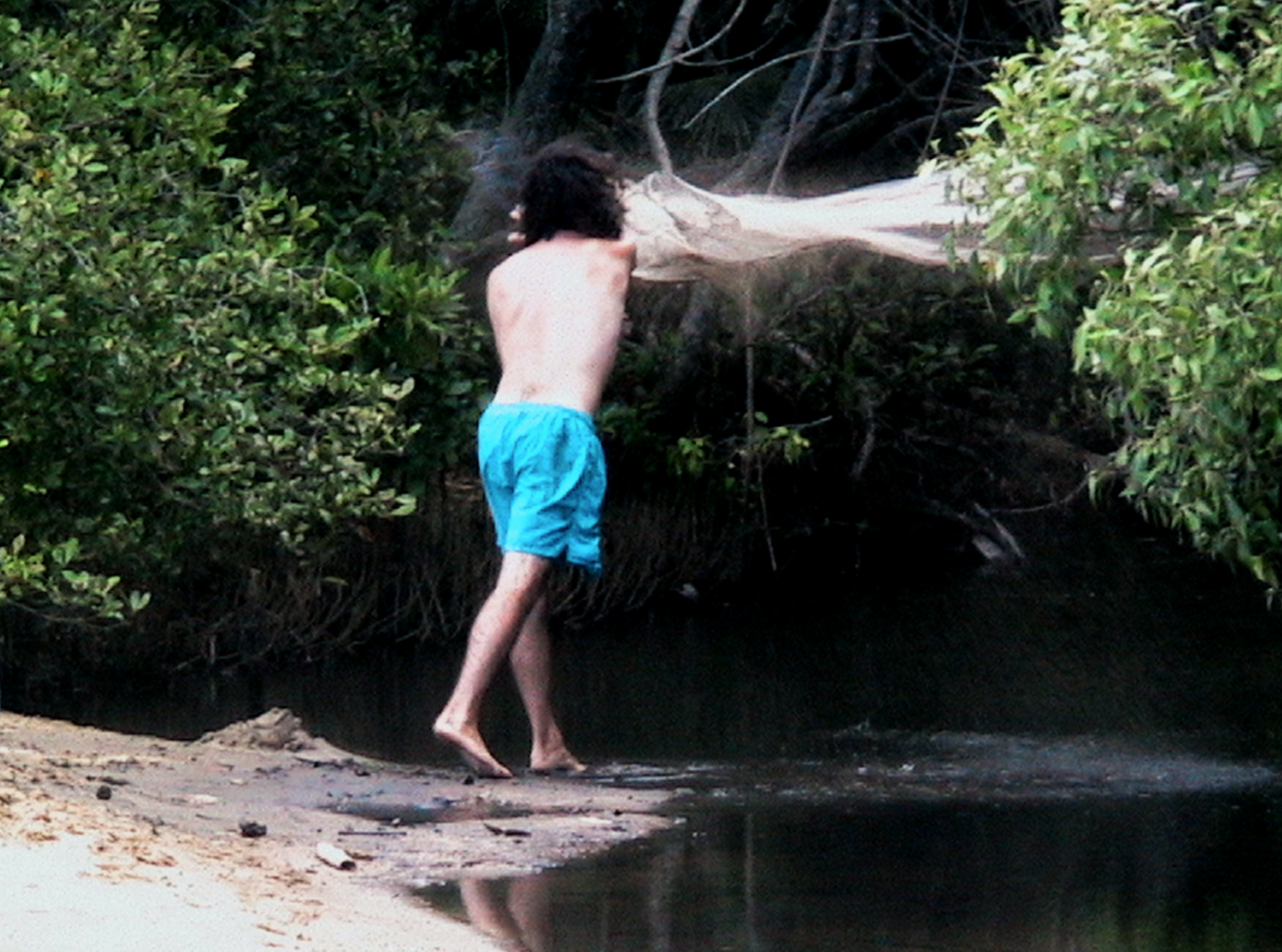Netting bait