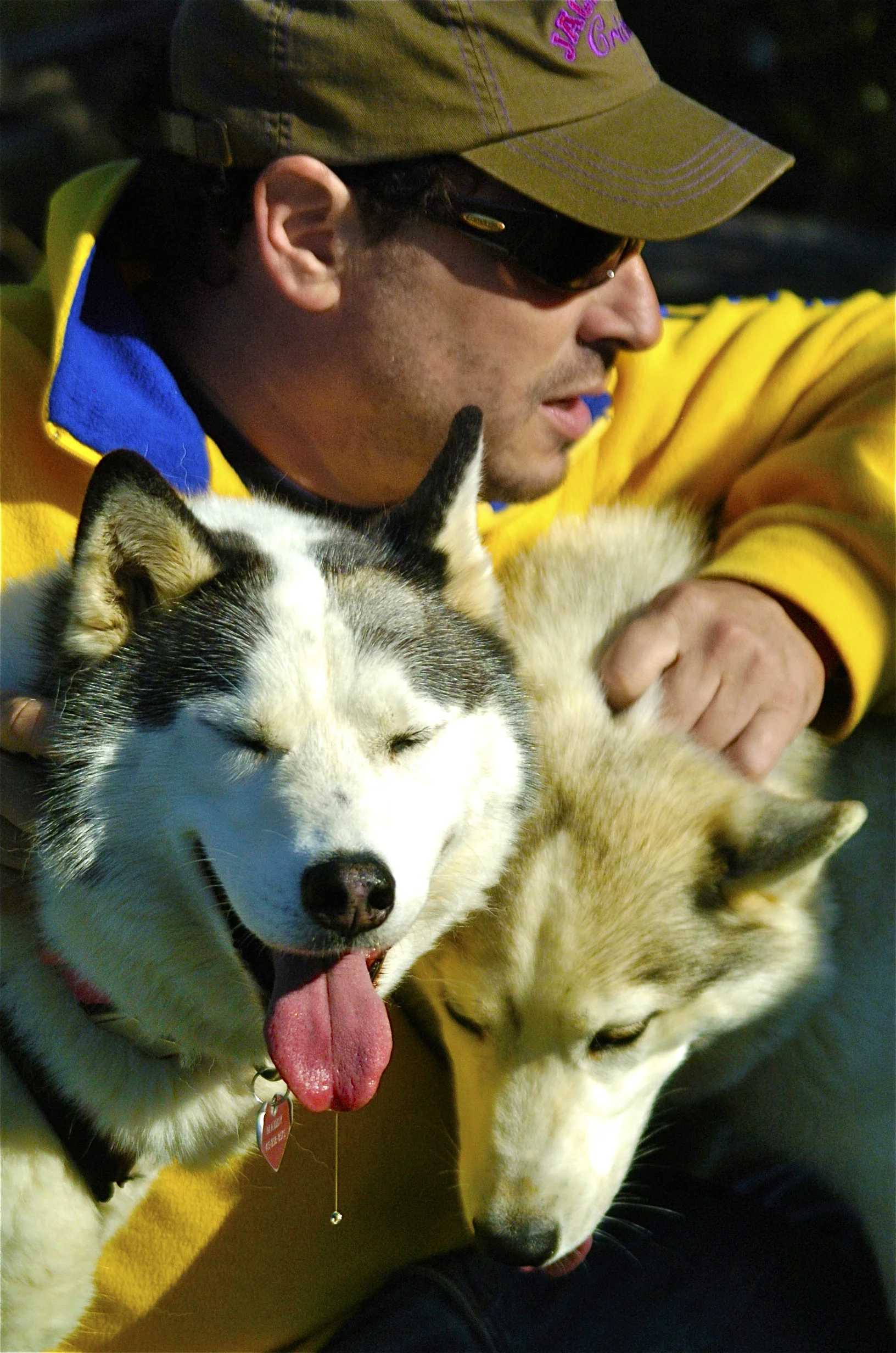 "Huskies"