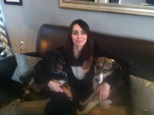 Noelle - Board of Directors