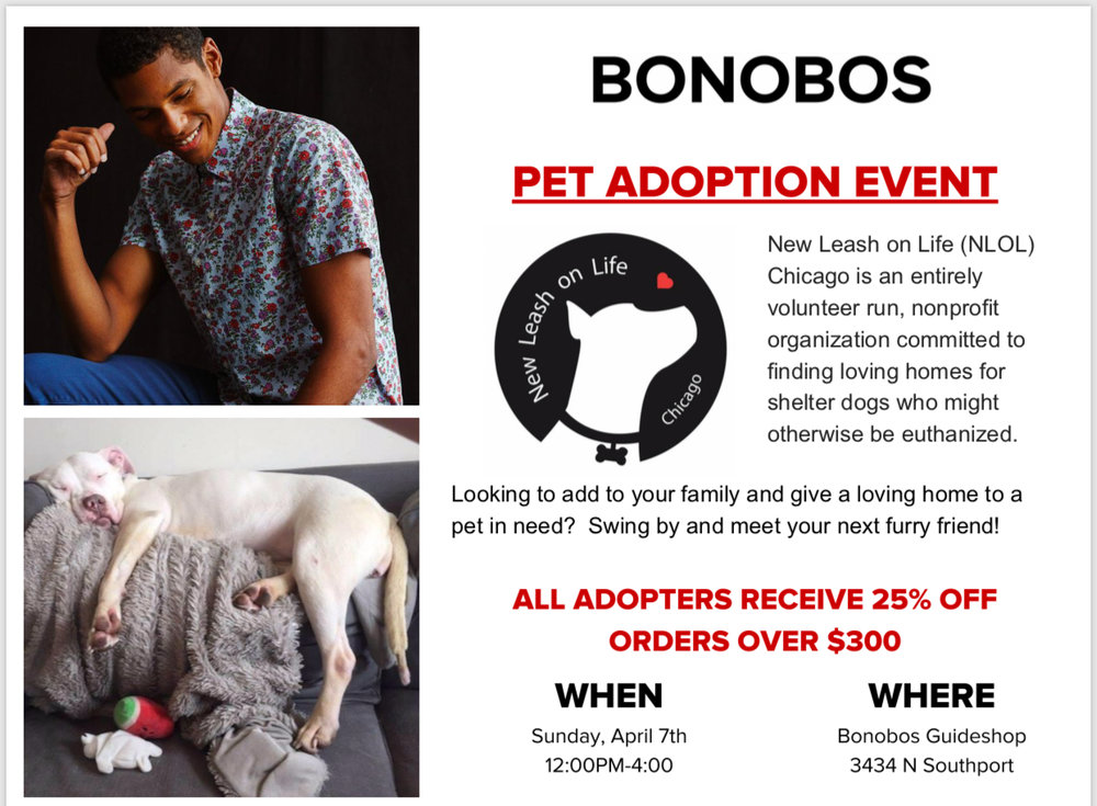 Bonobos Pet Adoption Event — New Leash on Life Chicago Bonobos Pet Adoption Event — New Leash on Life Chicago
