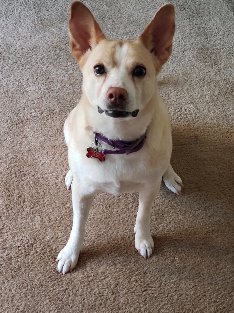 image1.jpeg