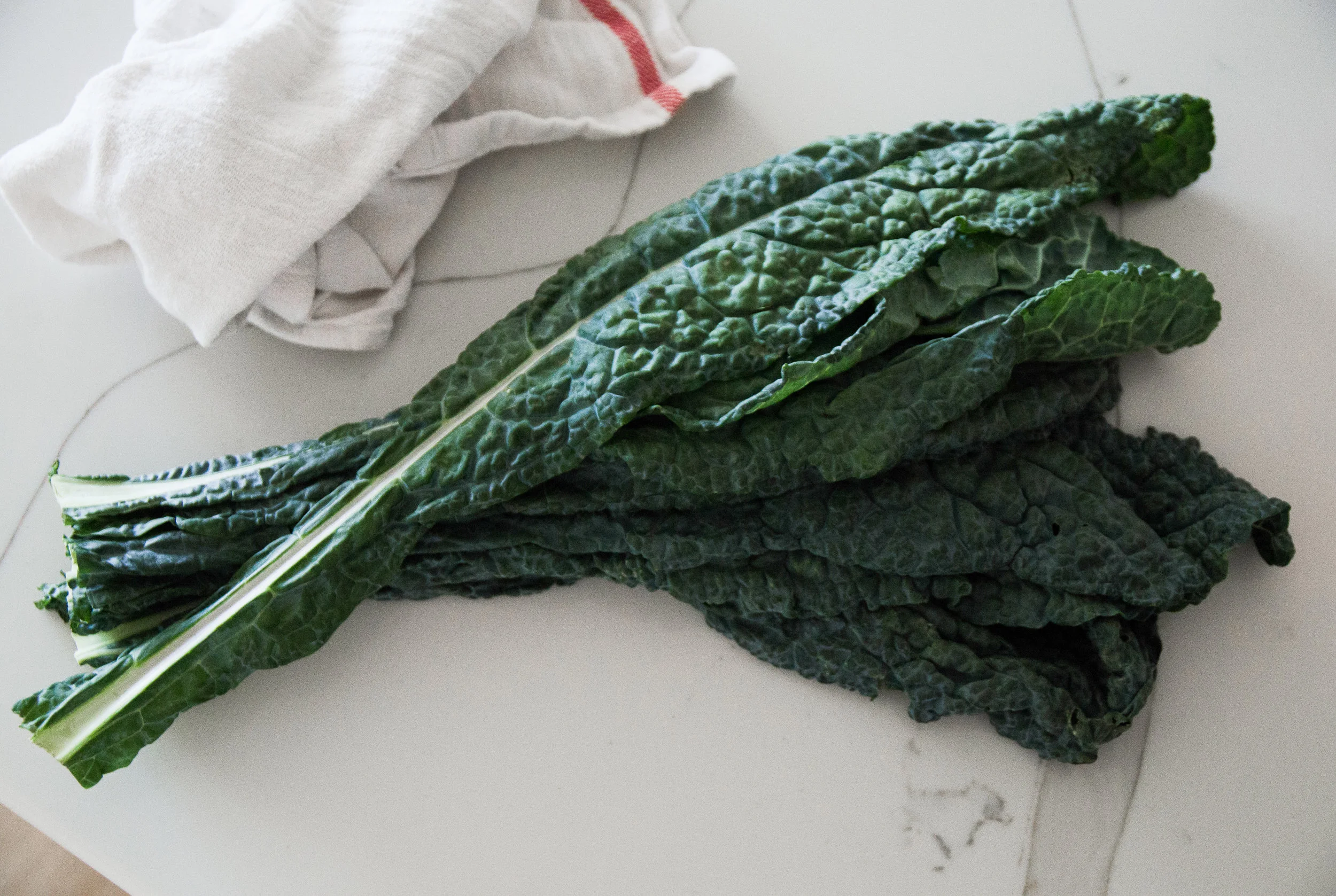 VegNutritionblog2019-5.jpg