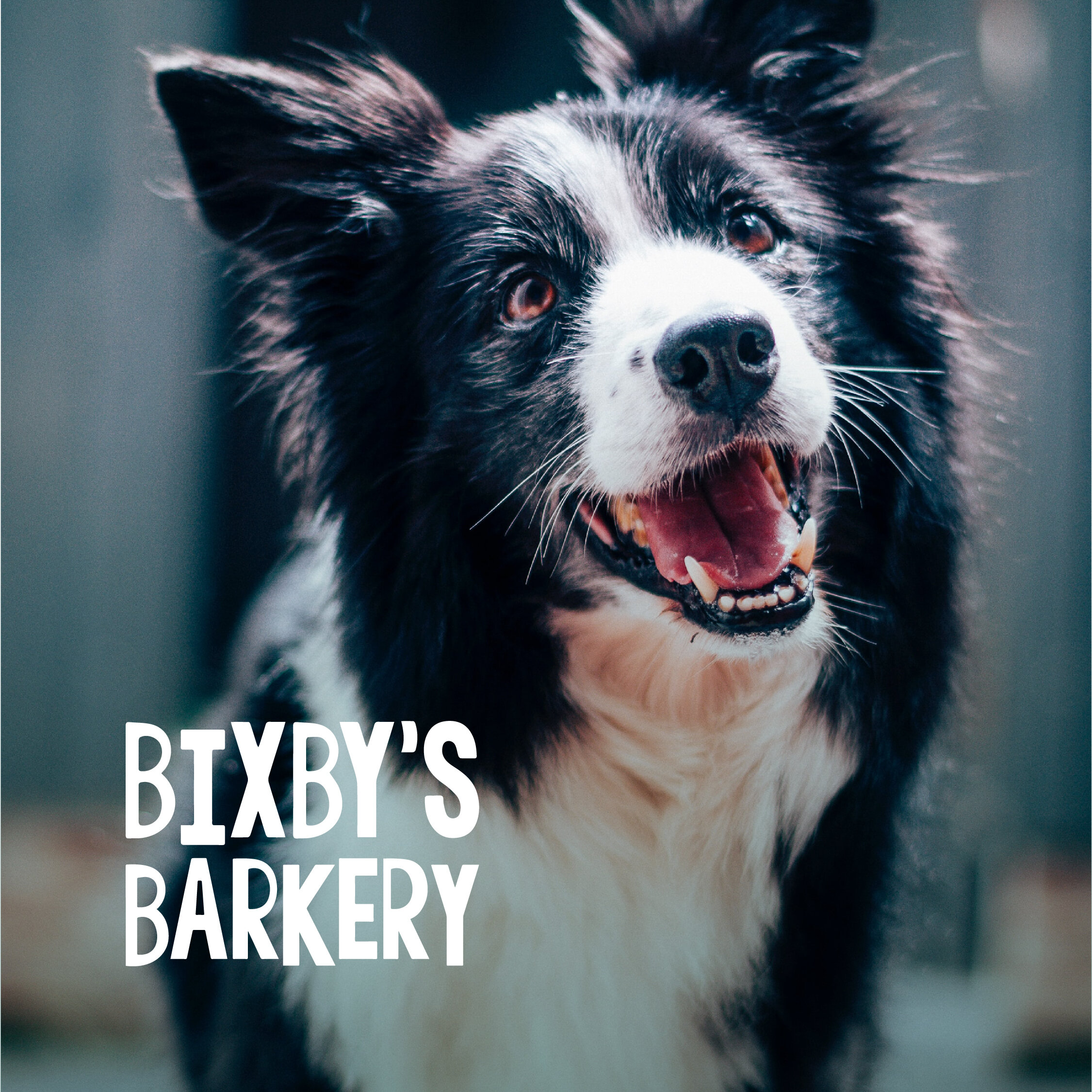 Bixby's Barkery
