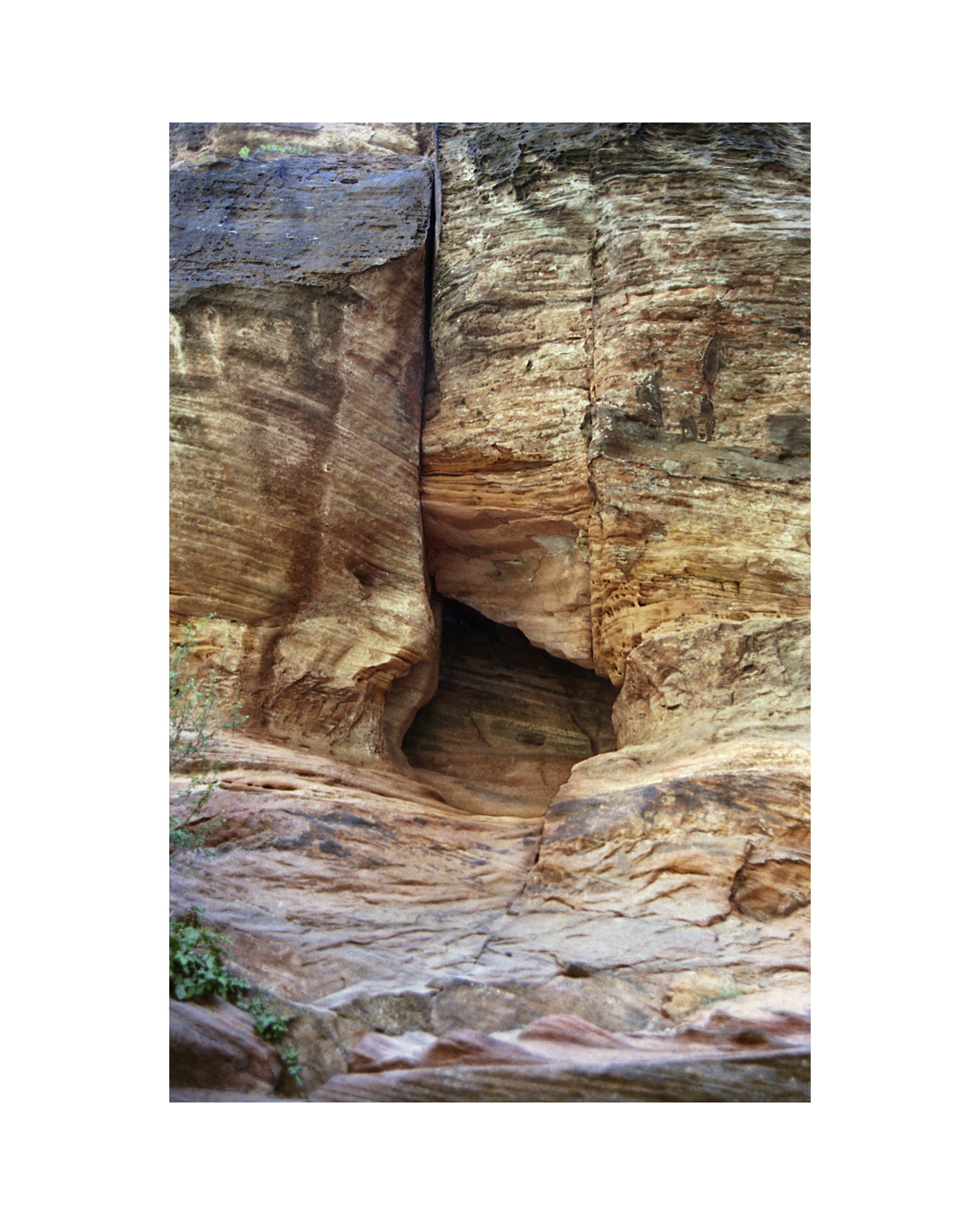 The Narrows - Zion National Park