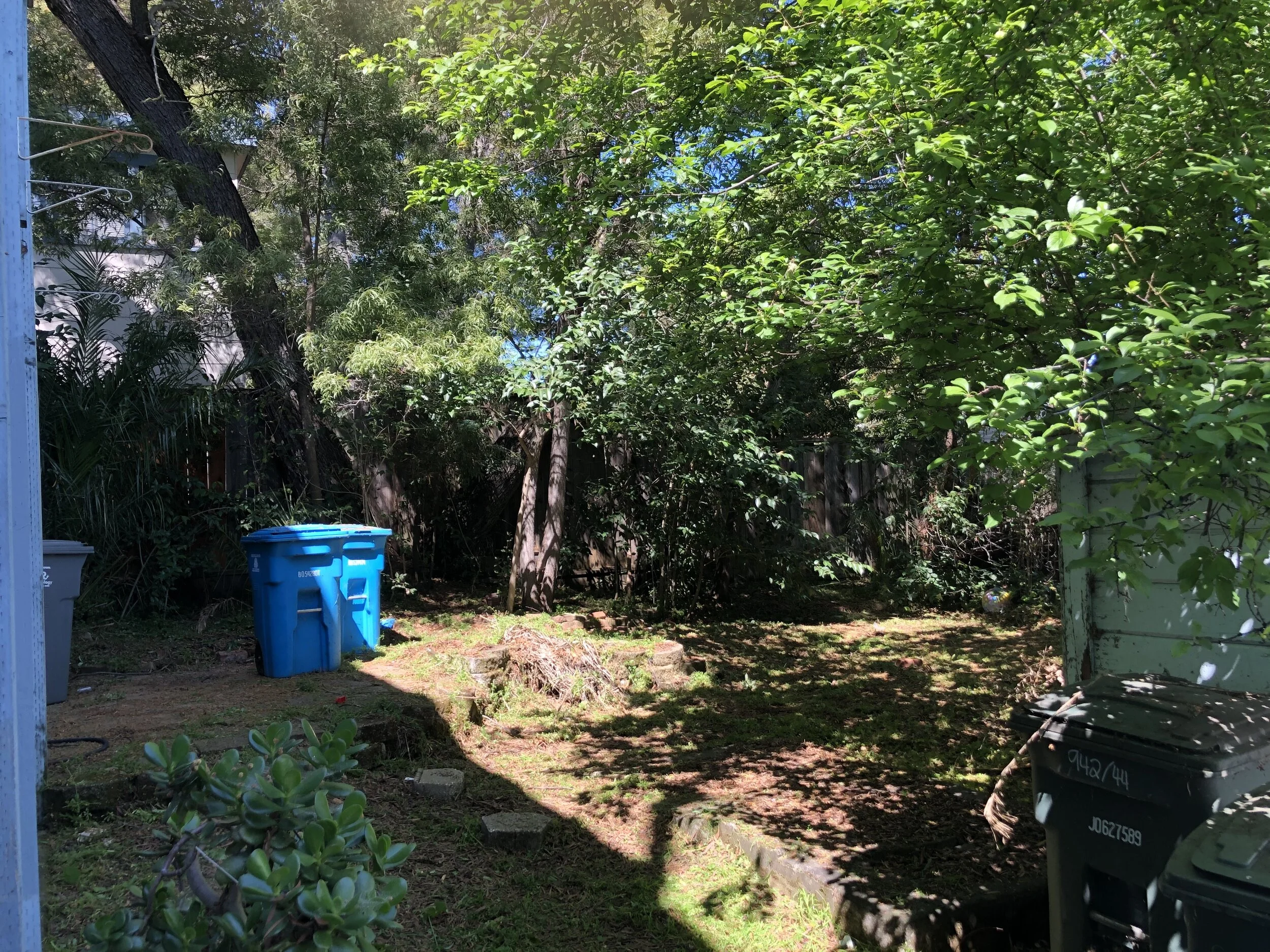 Florida bkyard4.JPG