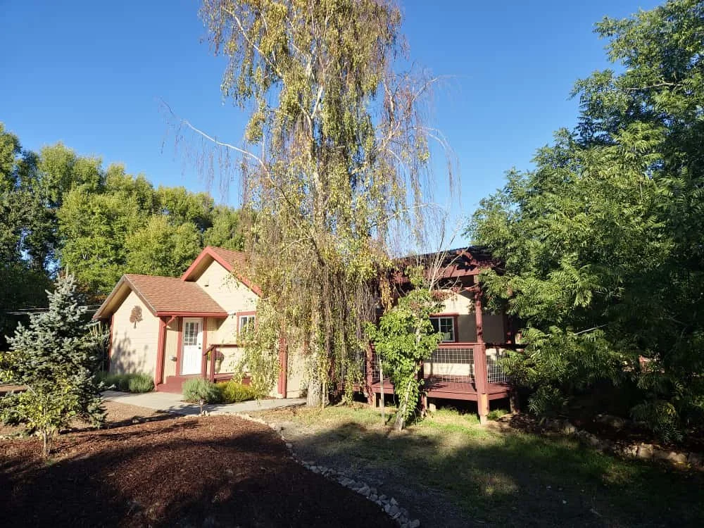 WhatsApp Image 2025-10-18 at 14.07.42_cc272a30.jpg