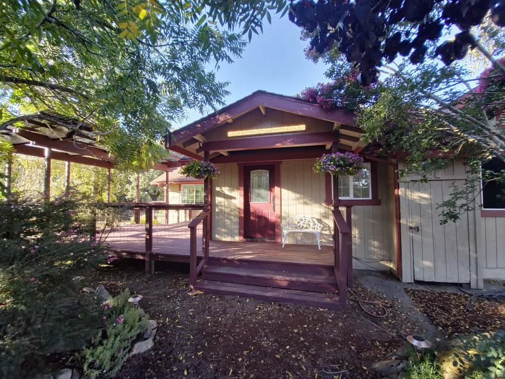 WhatsApp Image 2025-10-18 at 14.08.11_c99150ac.jpg