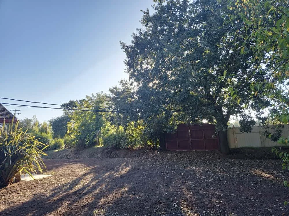 WhatsApp Image 2025-10-18 at 14.08.12_84bf521d.jpg